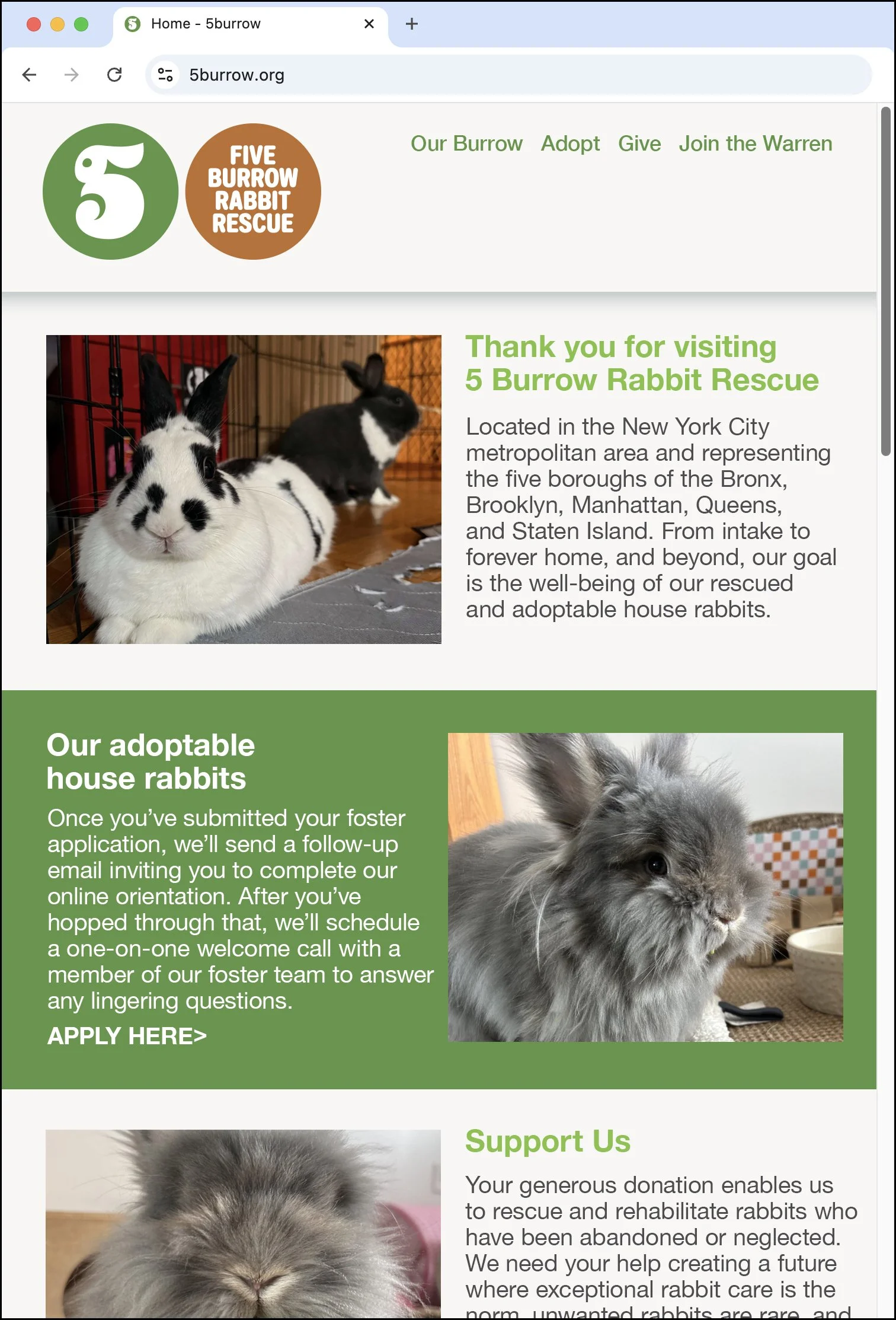 5 Burrow Rabbit Rescue Logo Sketch #1 Website Layout. Designed by Kevin Dresser