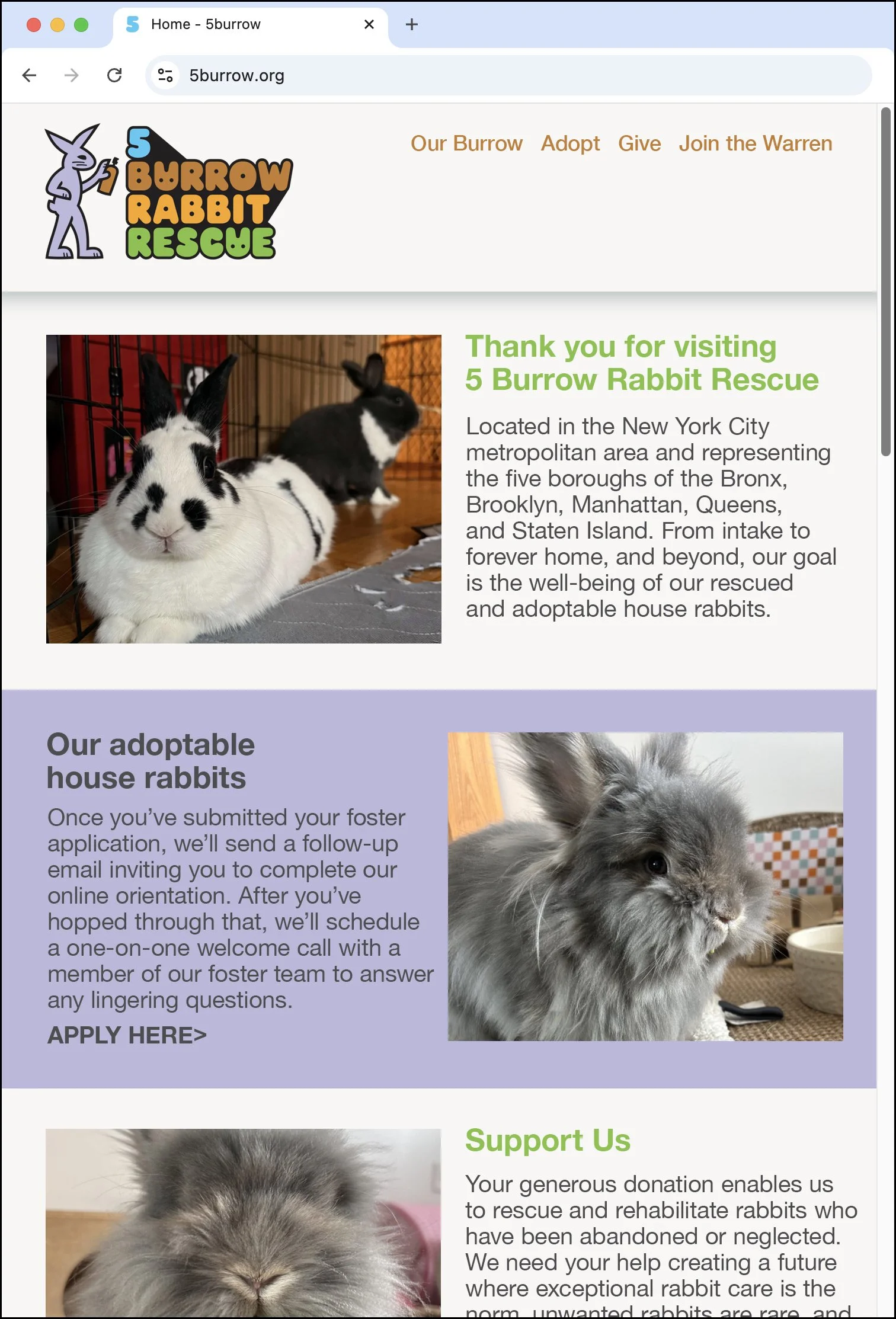 5 Burrow Rabbit Rescue Logo Sketch #4 Website Layout. Designed by Kevin Dresser