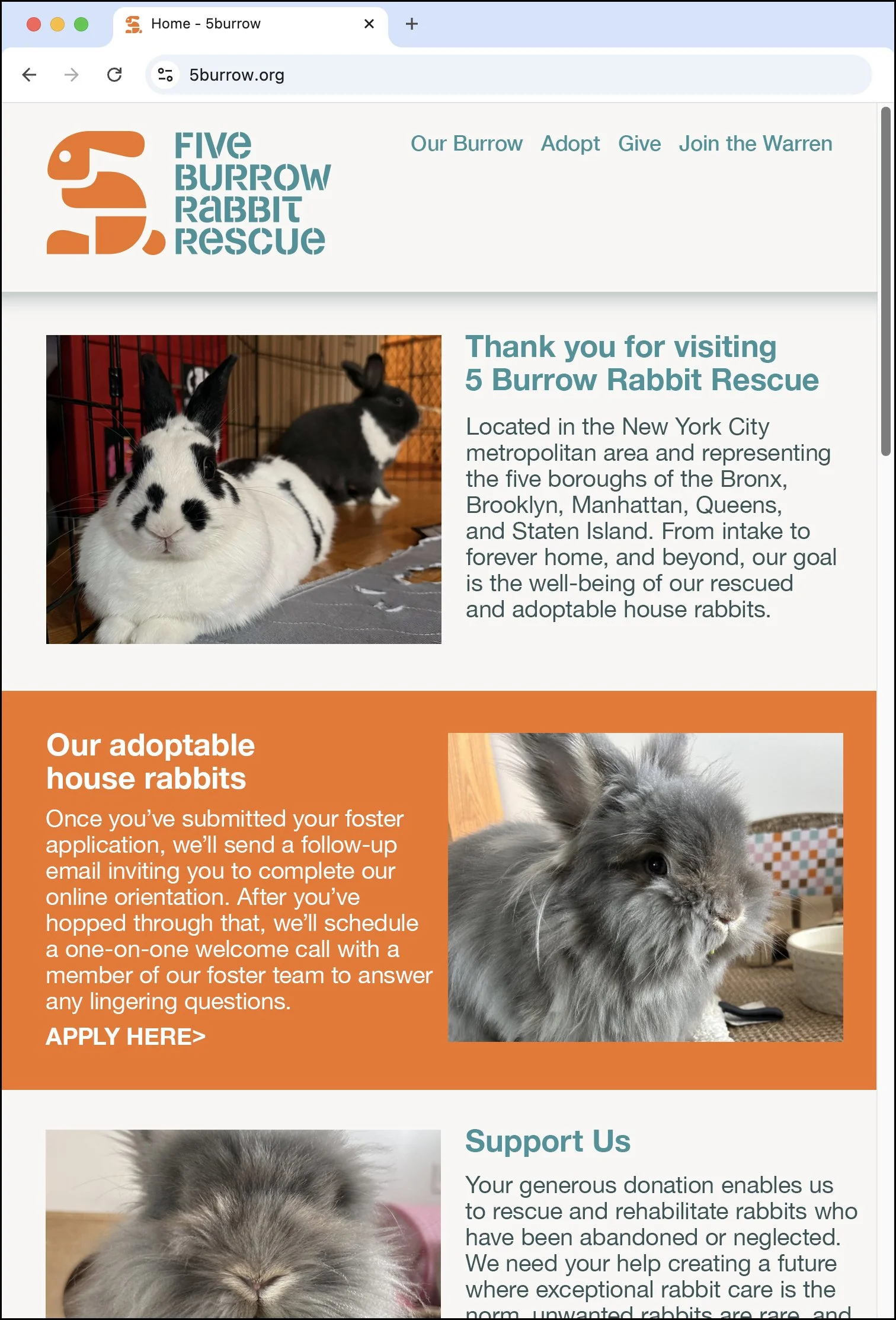 5 Burrow Rabbit Rescue Stencil Logo Round 2 - Website Layout. Designed by Kevin Dresser