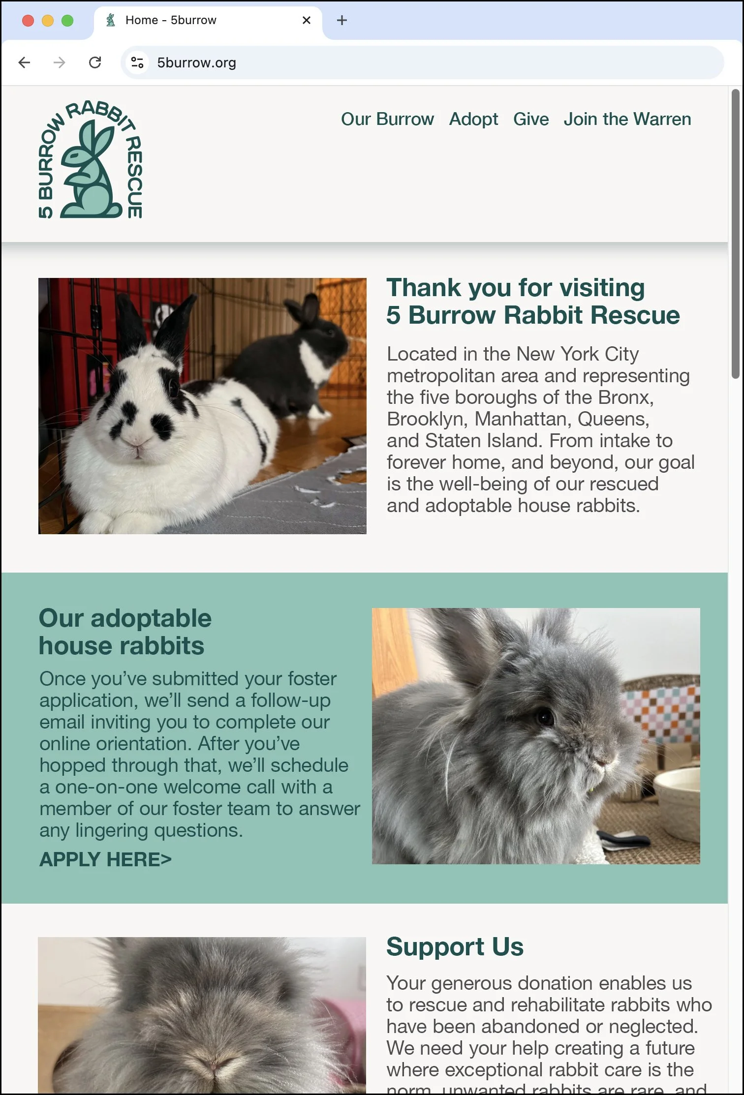 5 Burrow Rabbit Rescue Logo Sketch #2 Website Layout. Designed by Kevin Dresser