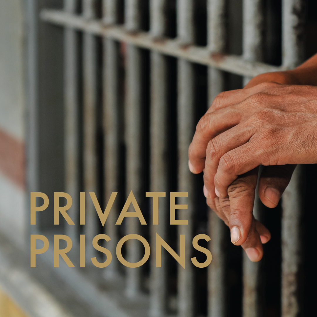 Tough on Crime, Easy on Profit: Private Prisons&nbsp;