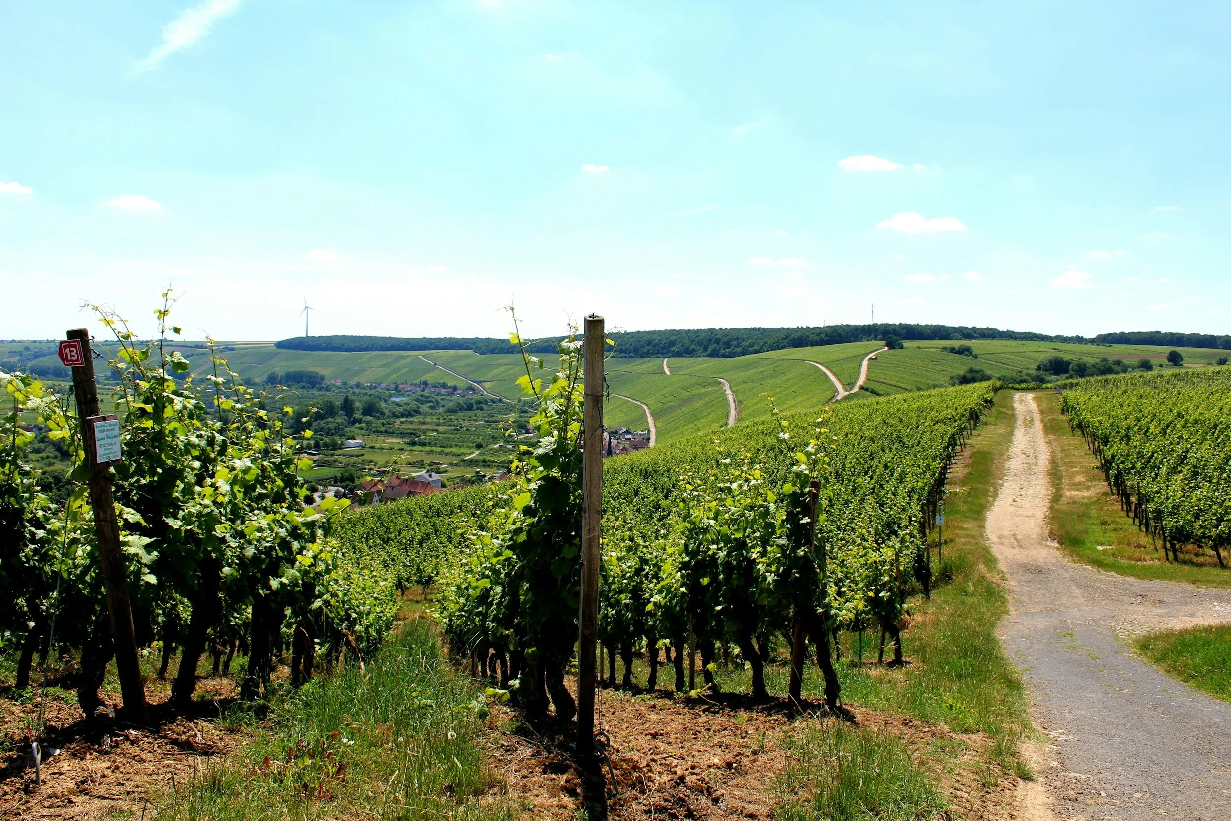Wine country tour with driver