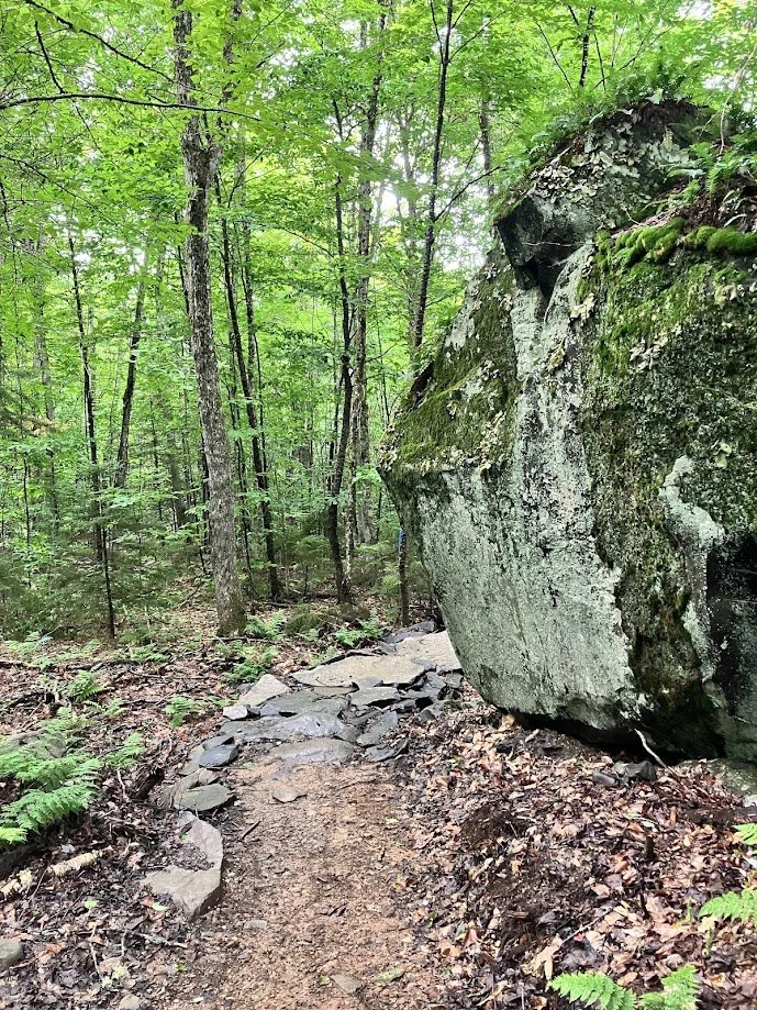 A narrow dirt trail in a green forest with tall trees and a large moss-covered boulder on the right side.