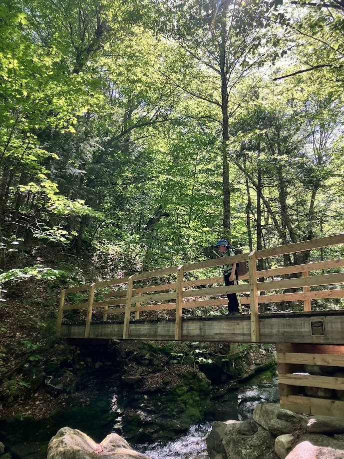 Child wearing a blue helmet standing on a wooden bridge over a forested stream.