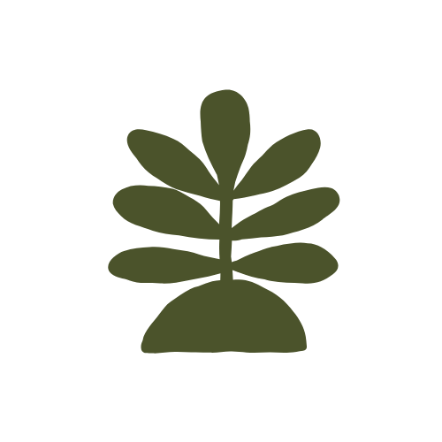 Green pine tree icon