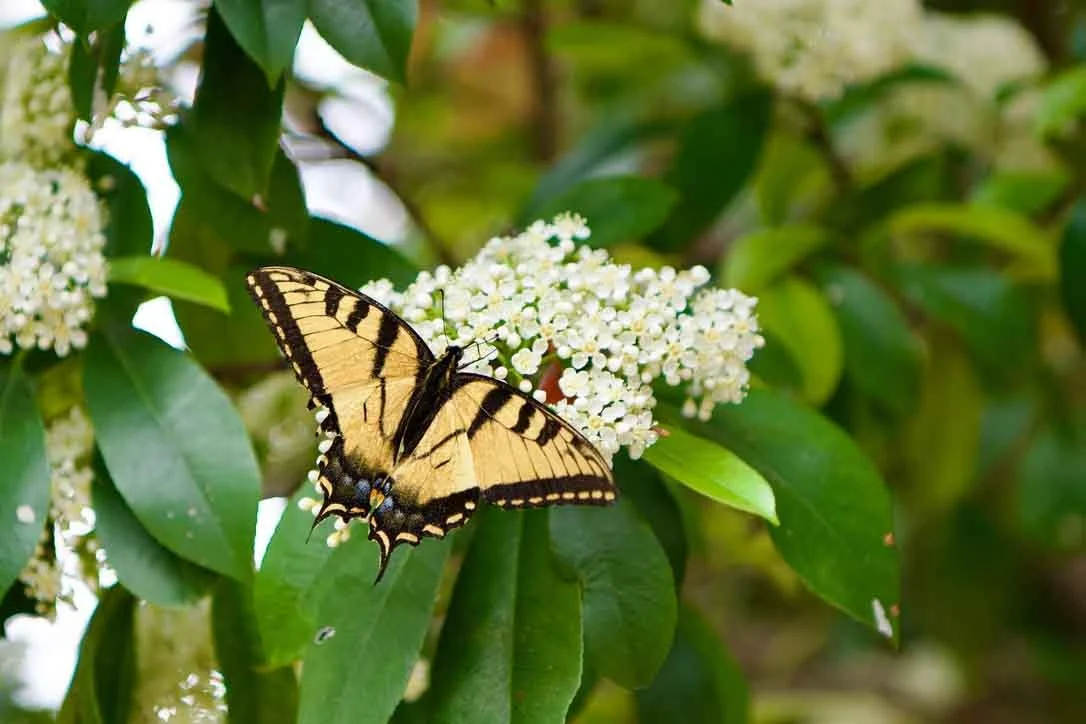 EED9ECE9-EE26-43CF-922E-45206611EE59_1_105_c.jpg