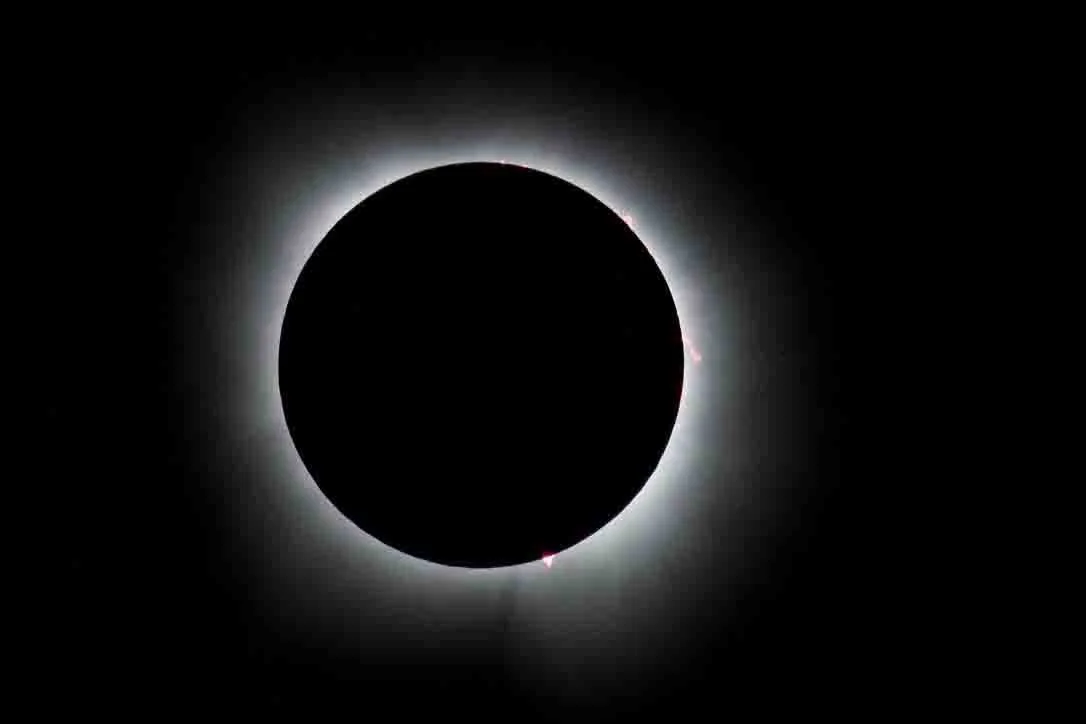 4ADBD96F-3E47-482F-8BC2-1090572BEFA9_1_105_c.jpg