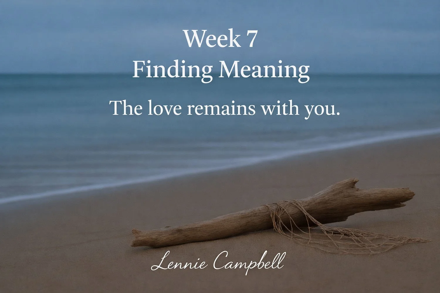 Week 7 — Finding Meaning