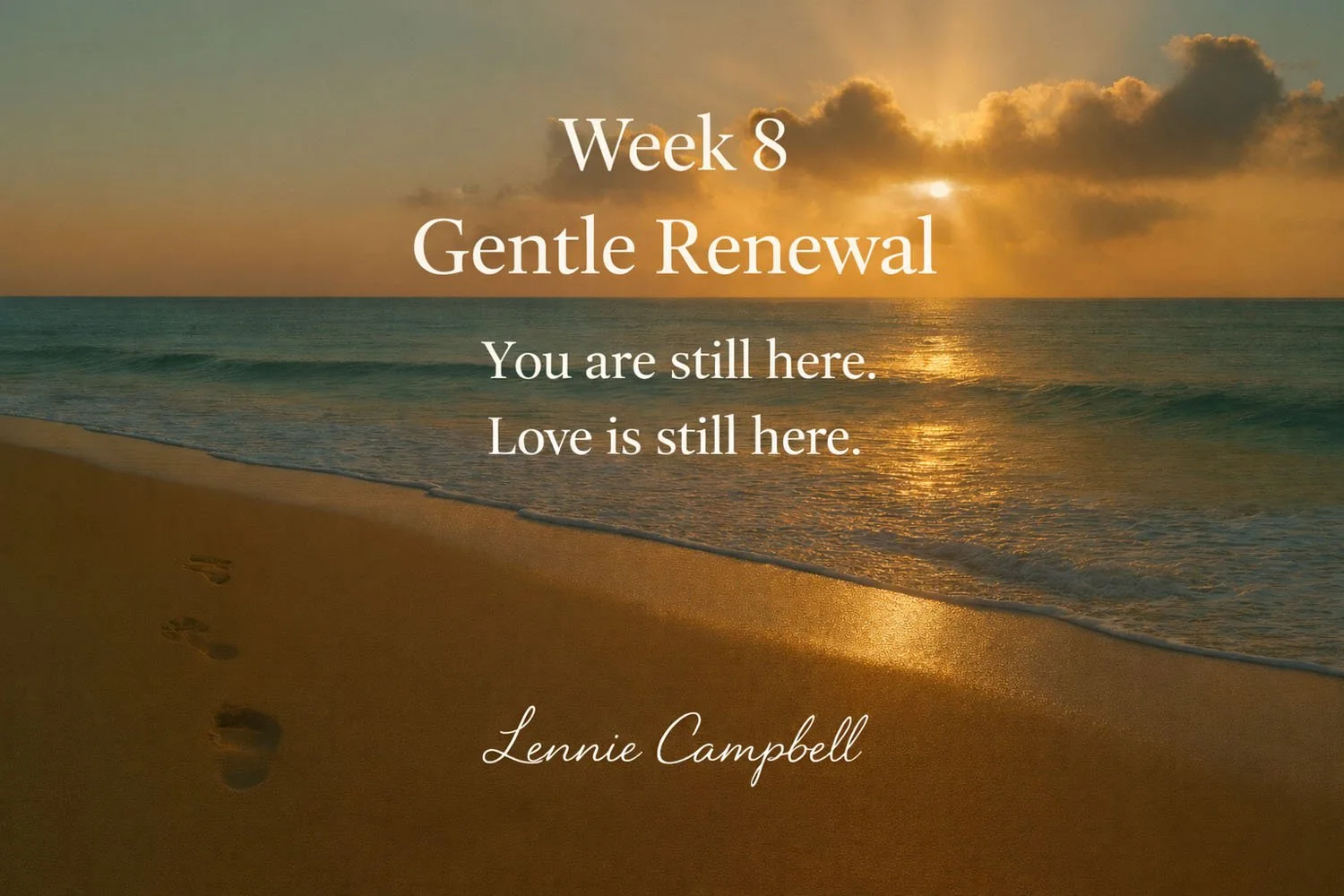 Week 8 — Gentle Renewal