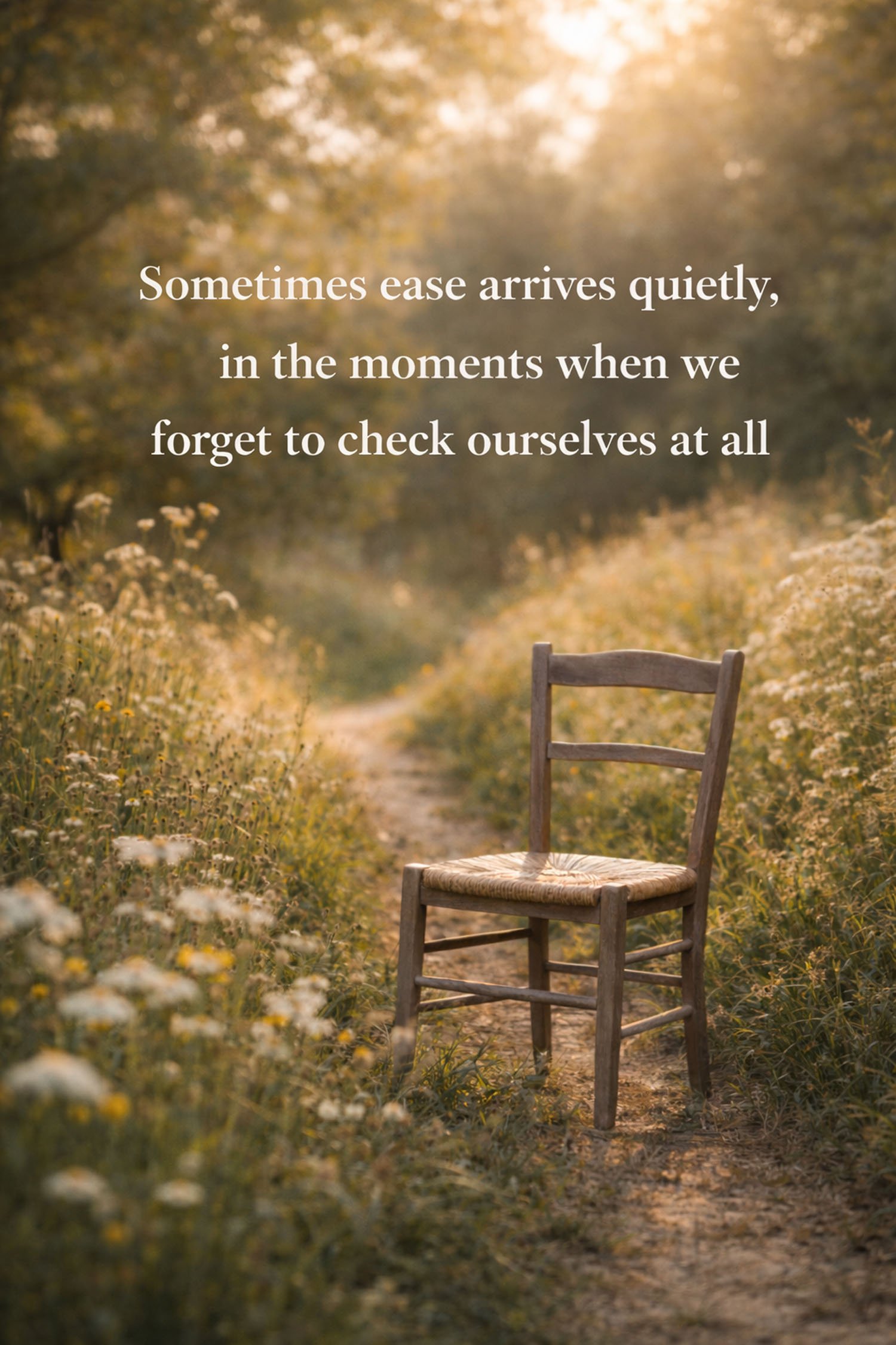 When We Stop Trying So Hard: Finding Peace in the Quiet Moments