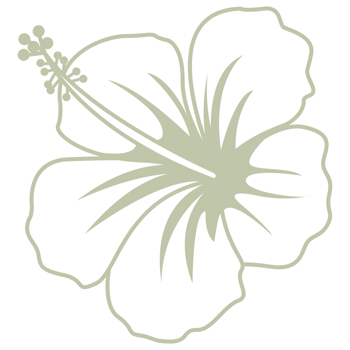 Line drawing of a hibiscus flower with five petals, a central stamen, and long stamens extending from the center.