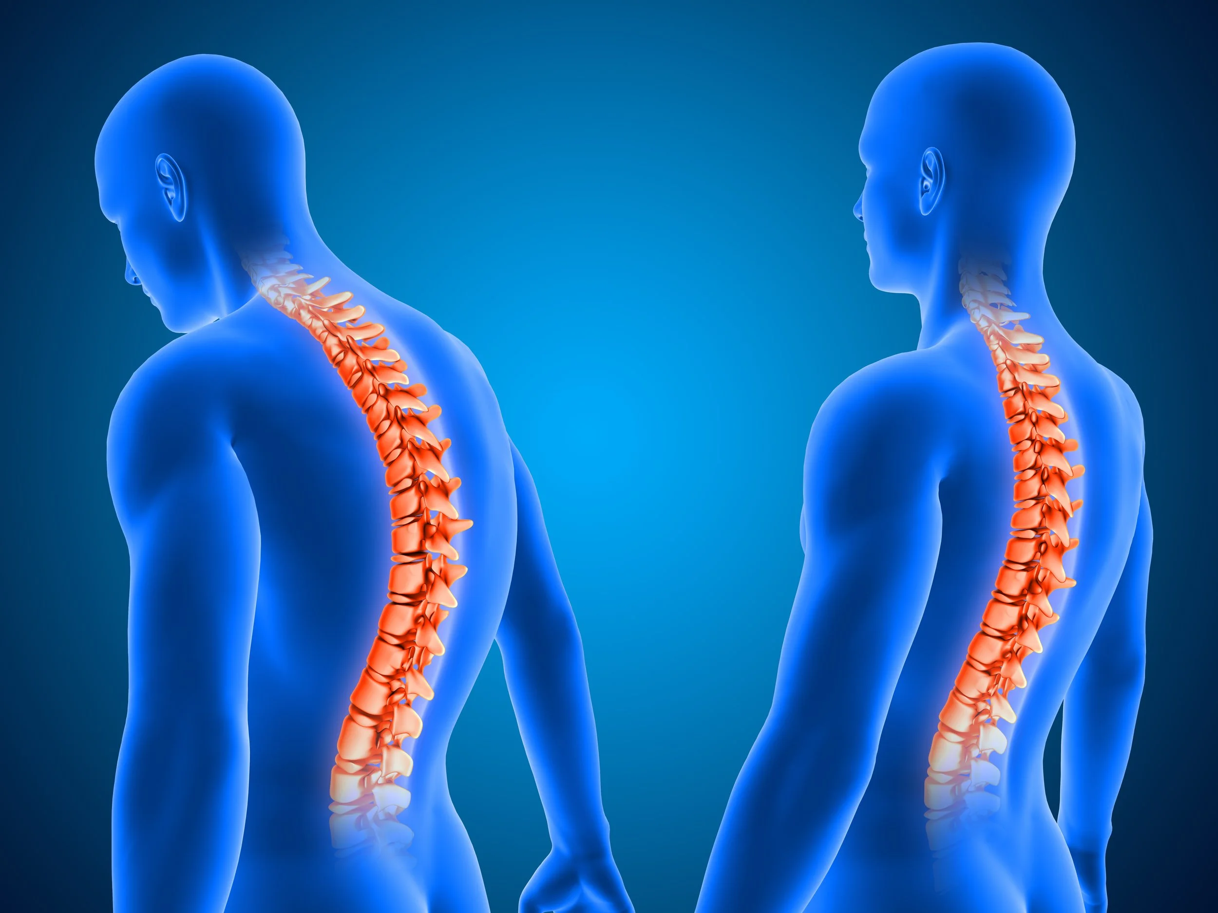 Back pain myths: What physios want you to know about treating lower back pain
