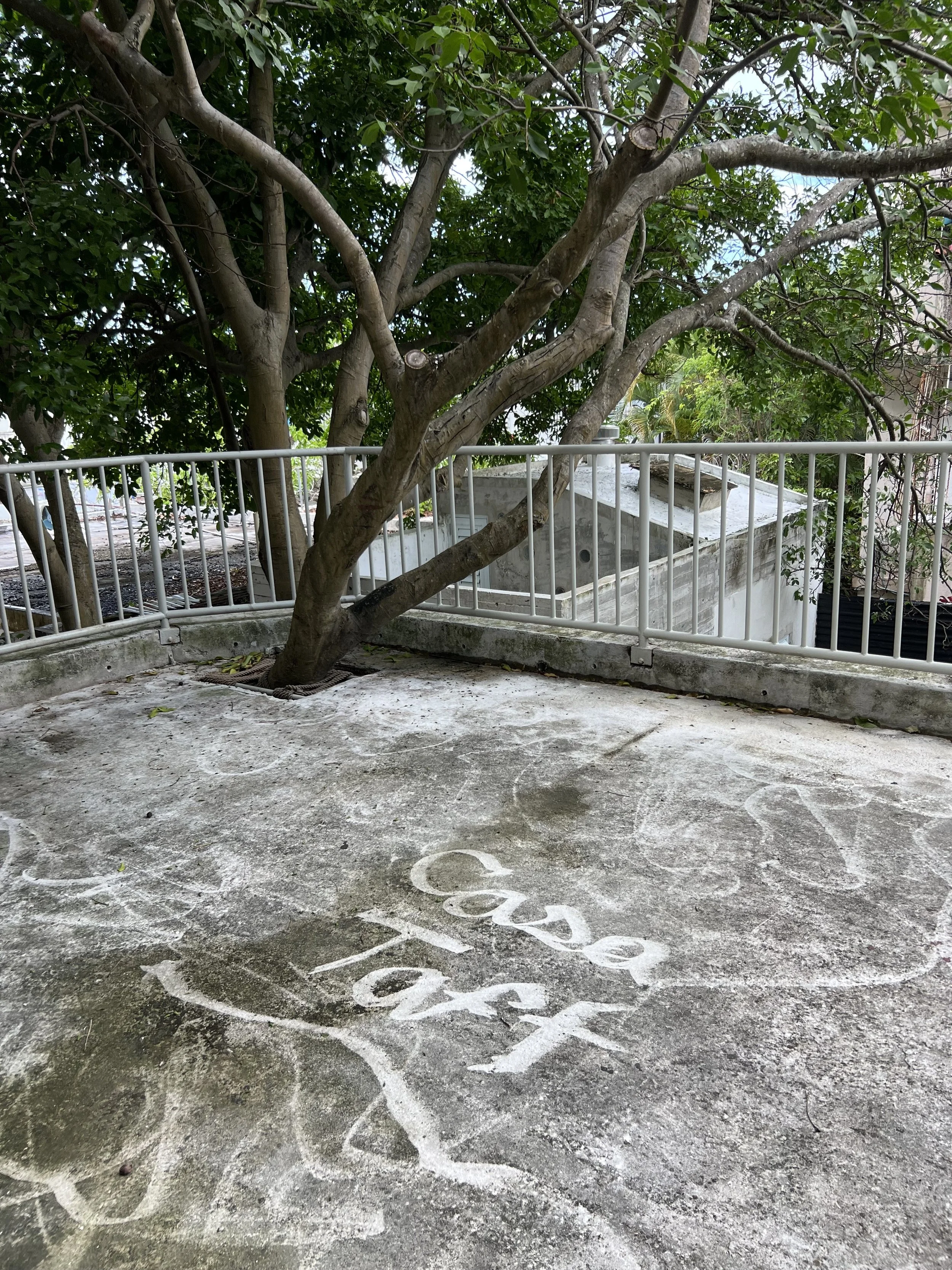 Casa Taft 169 / © Casa Taft 169 Inc.