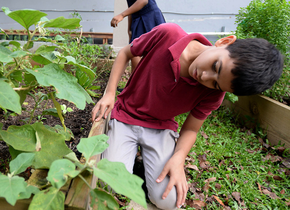 Parque Ecológico Joaquina de Vedruna / © Ana M. Abruña