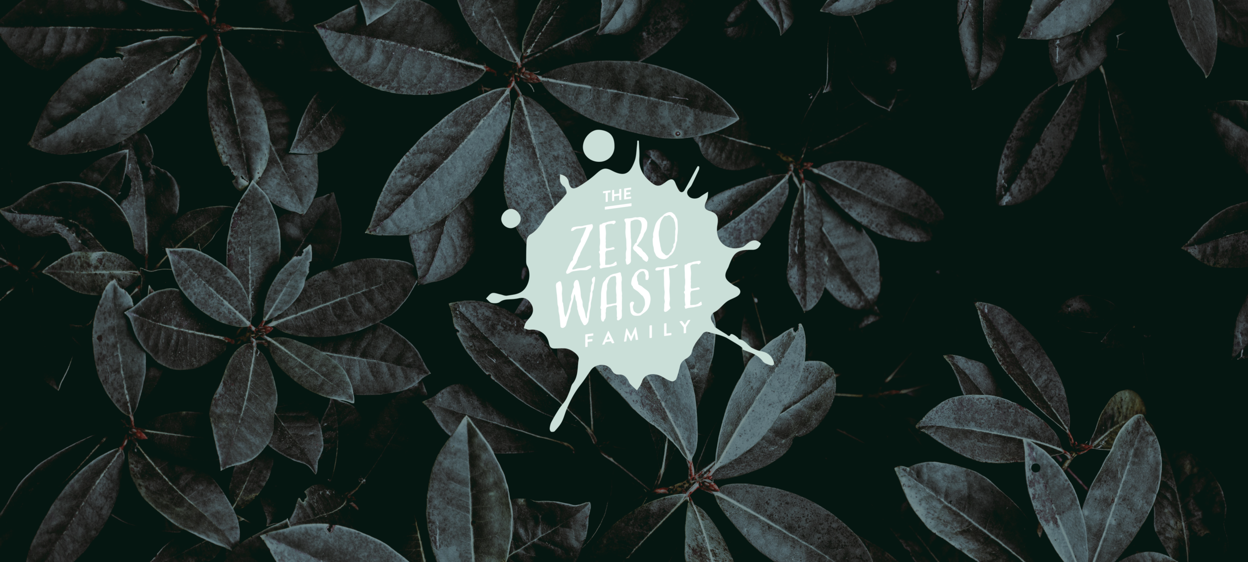ZWF-fullspread-logo.png
