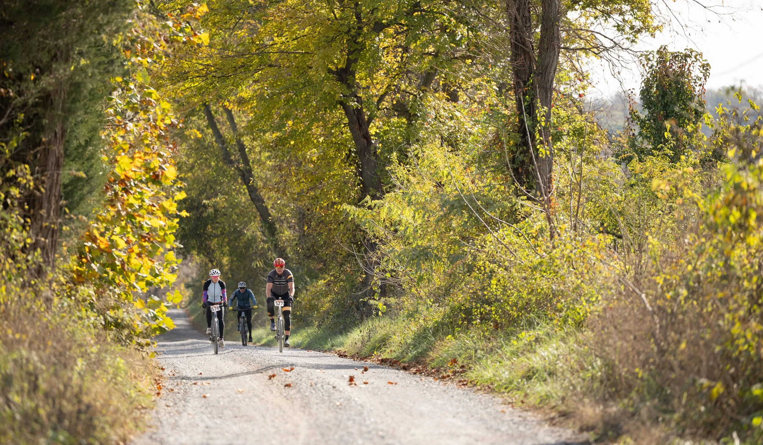 WBC 2025 Website - 22 of 26.jpeg