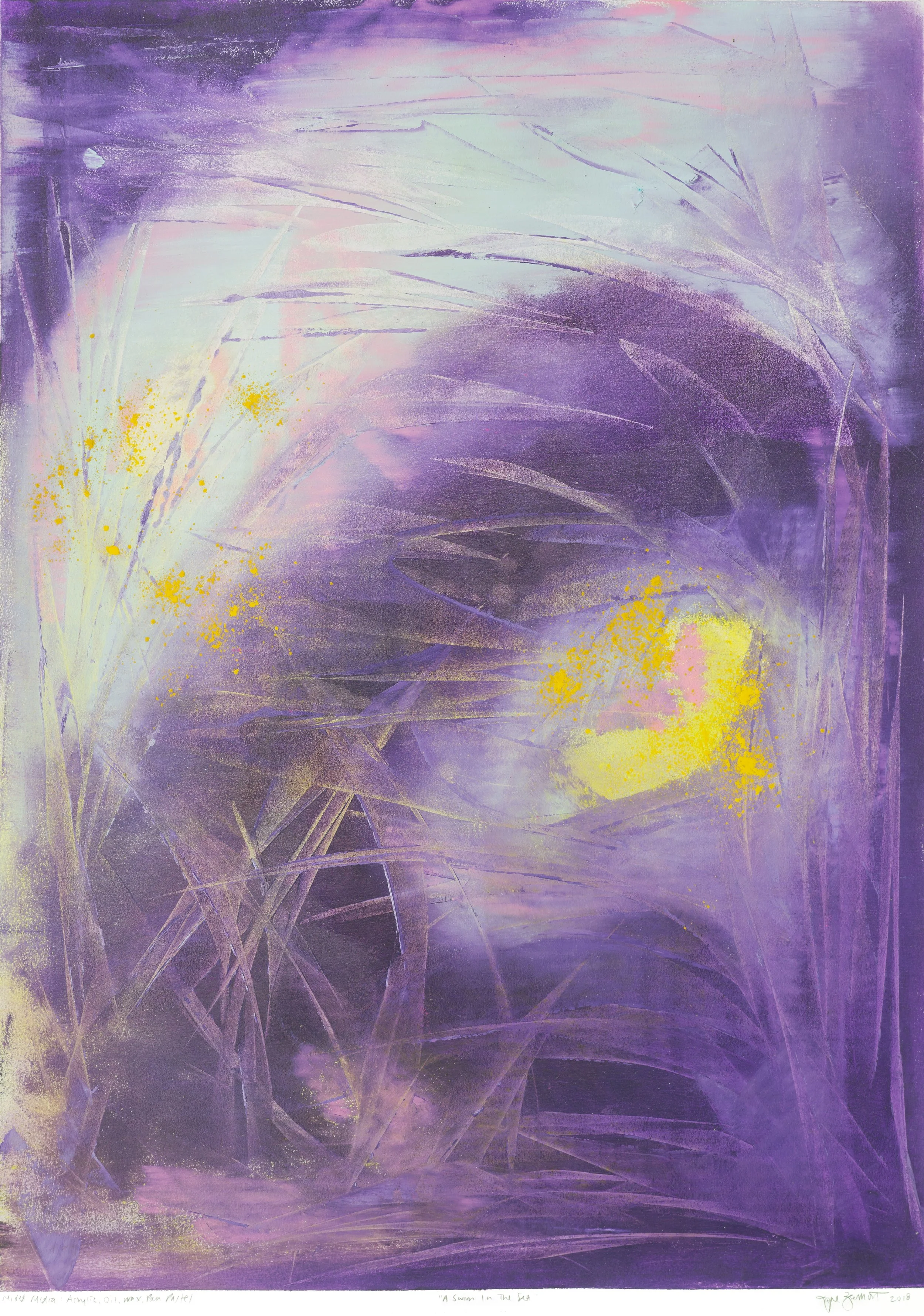 A Swim In The Sea.jpg