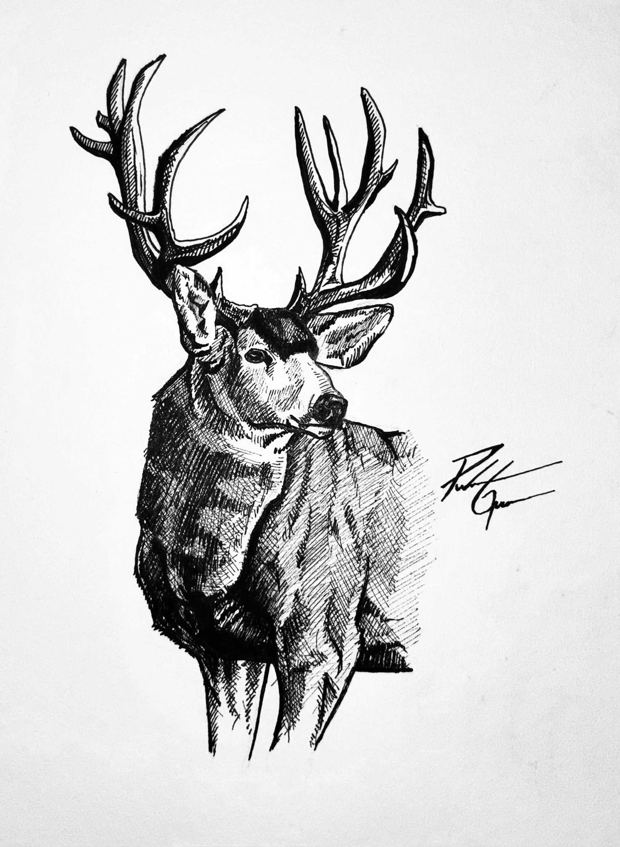 "Untitled" ink drawing 10x12"