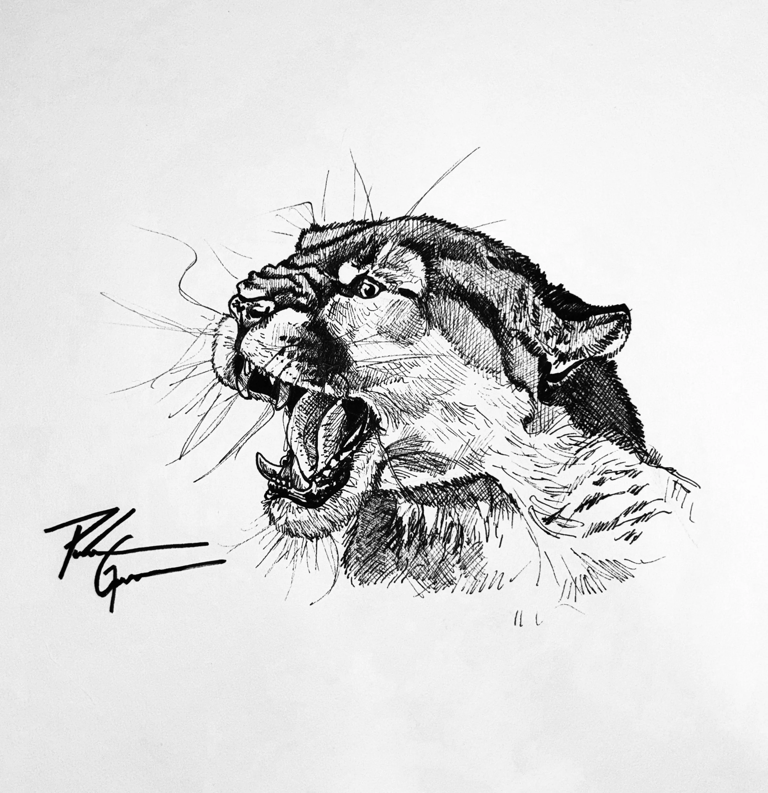 "Angry Lion" ink drawing 10x10"