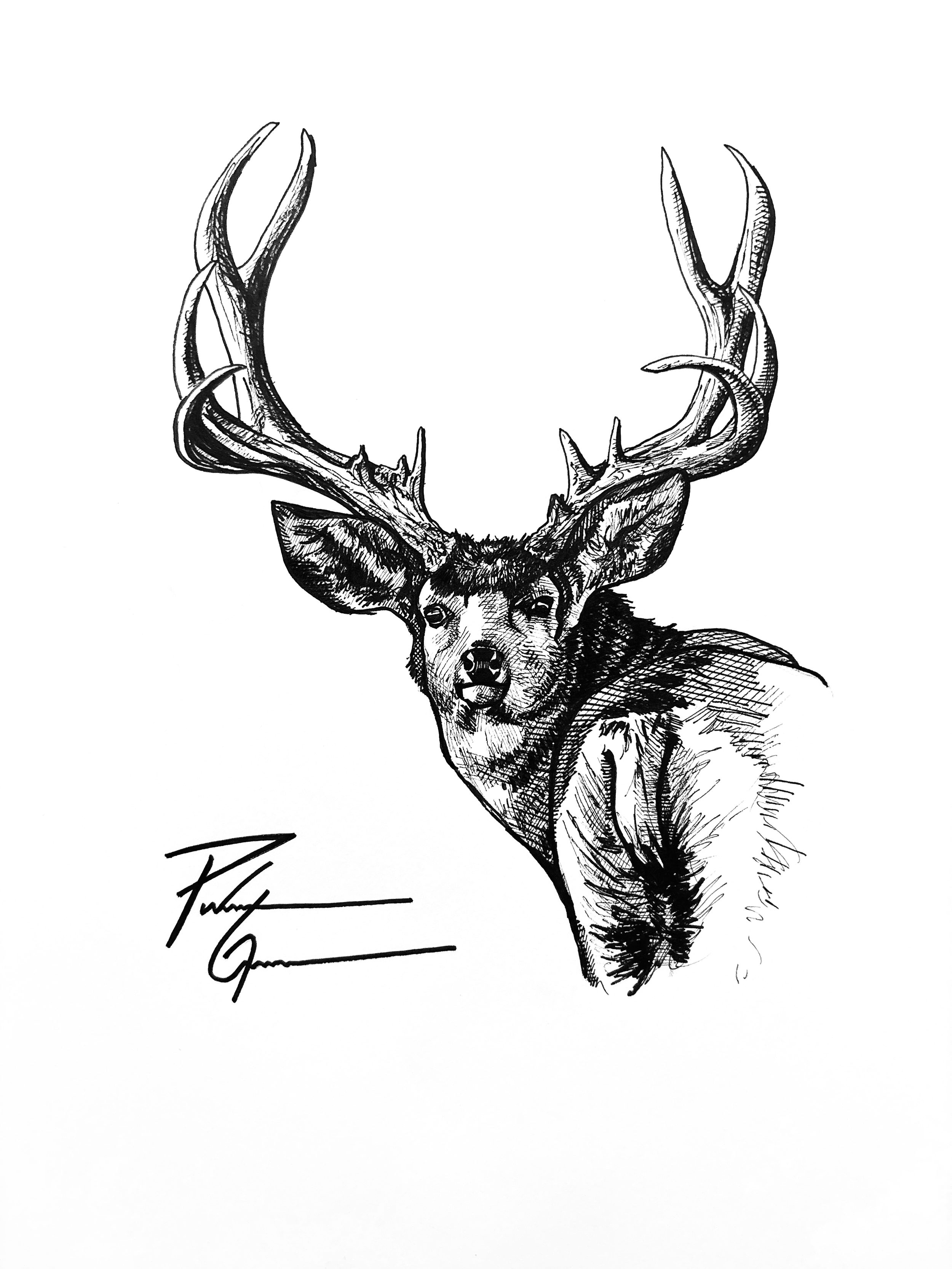 "Untitled" ink drawing 10x12"