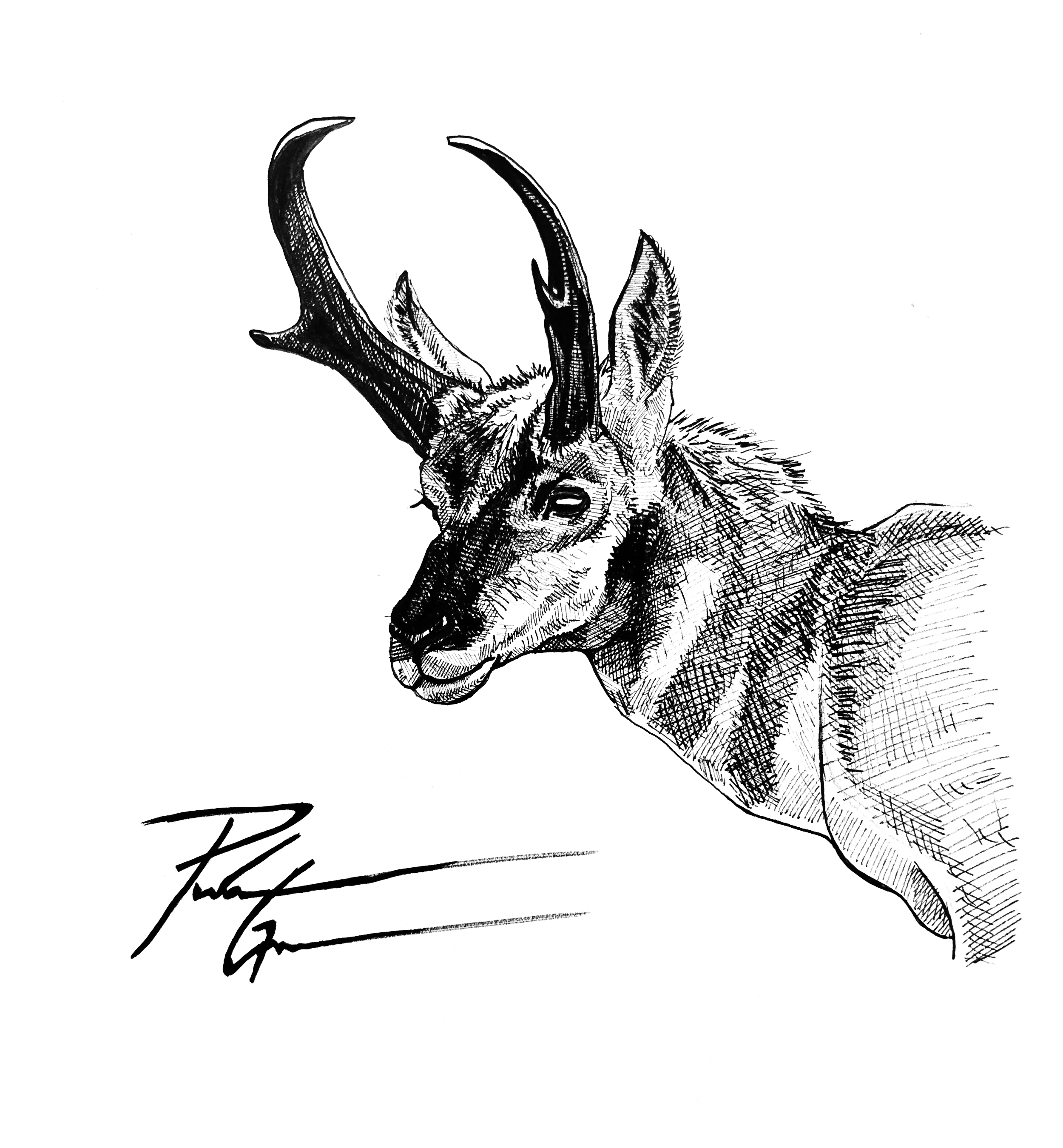 "Untitled" ink drawing 10x12"