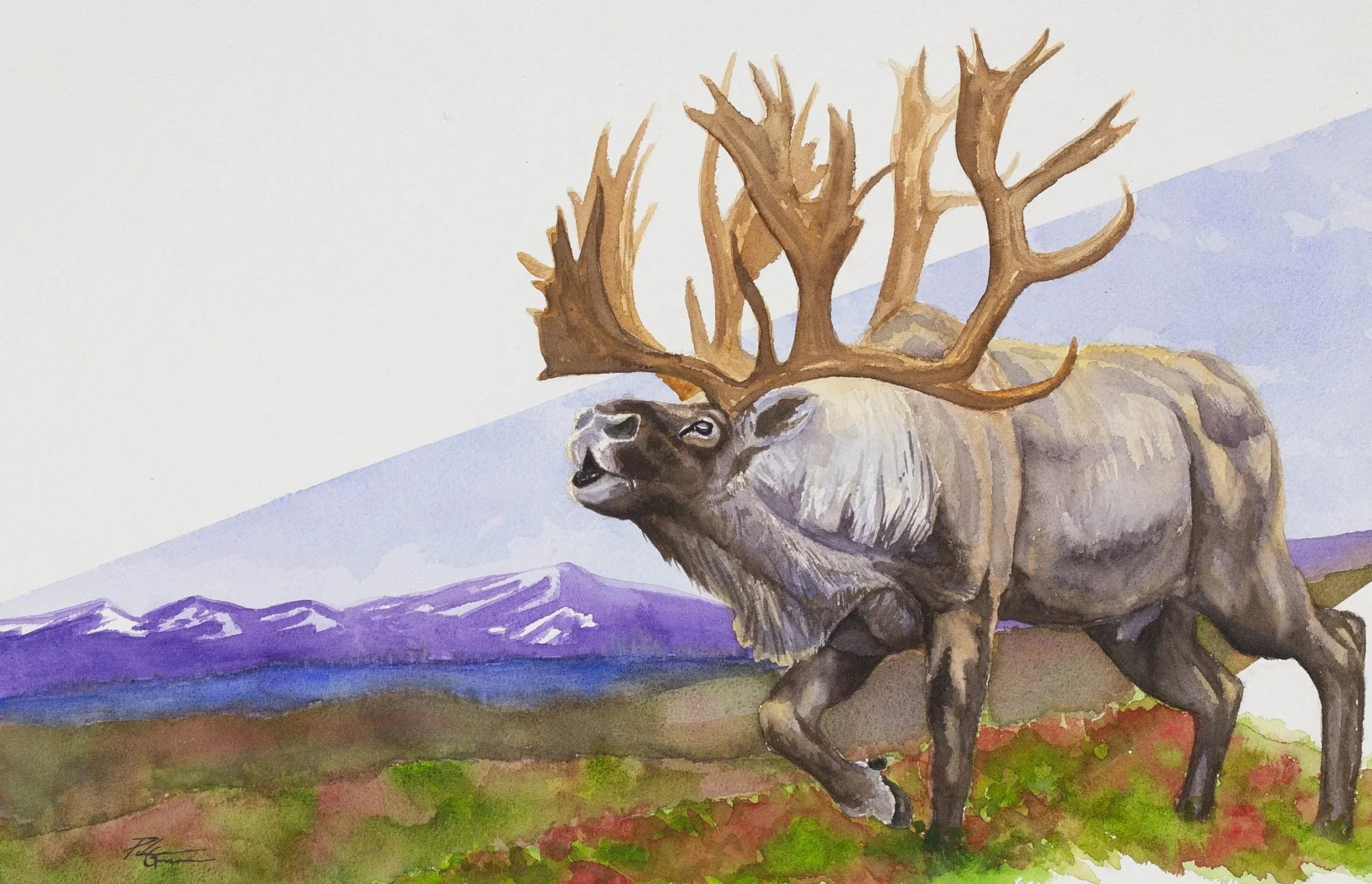 "Across the Yukon" watercolor painting 22x30"