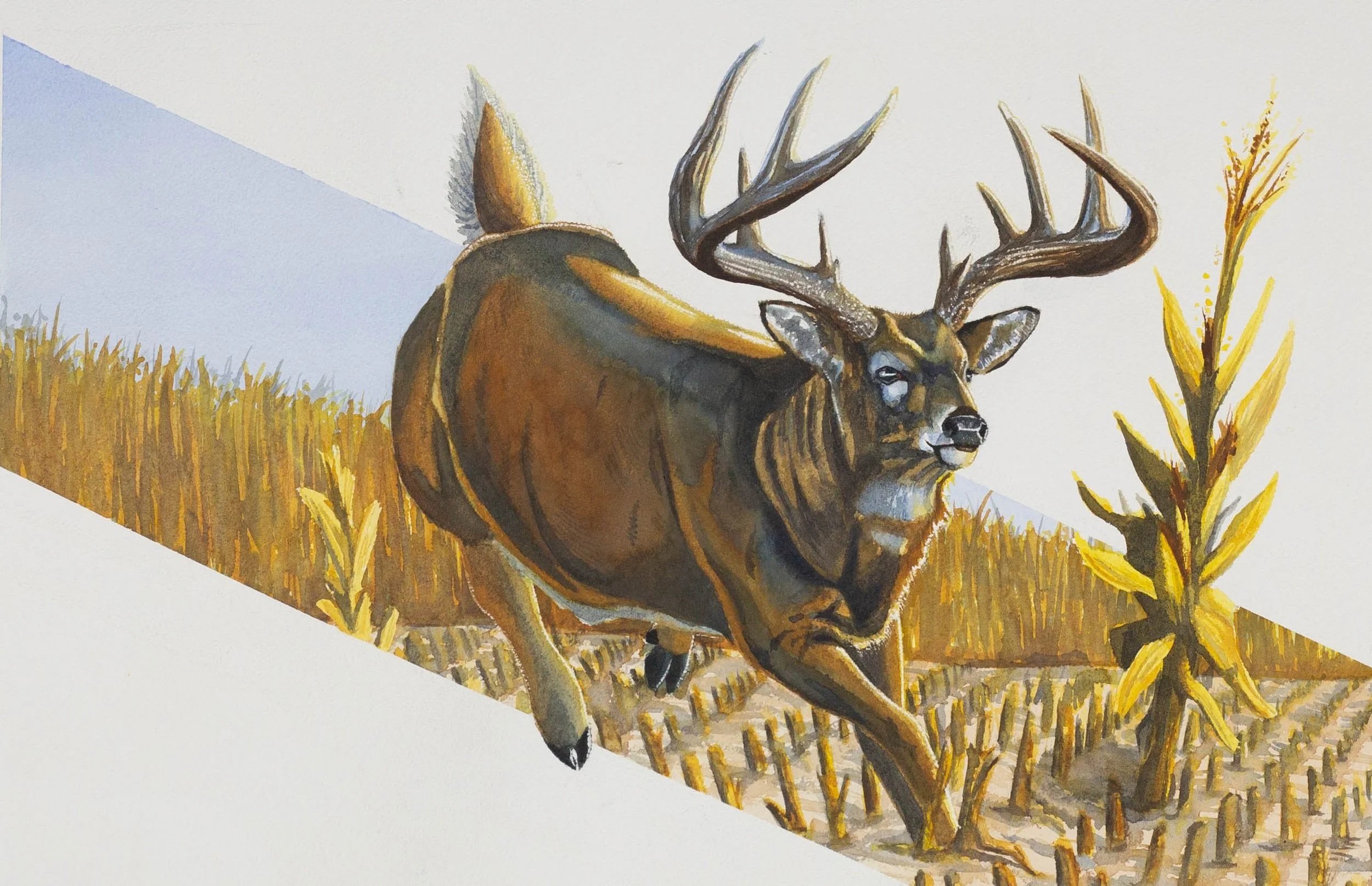 "In the Cut" watercolor 22x30"