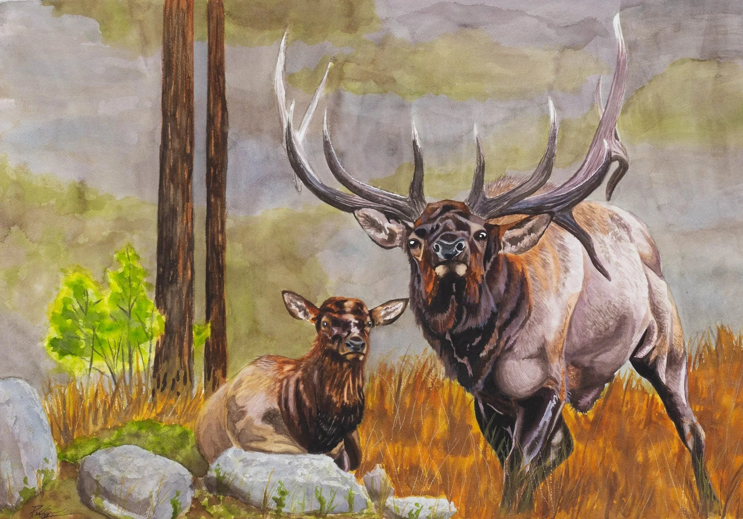 "Protective Bull" watercolor 22x30"