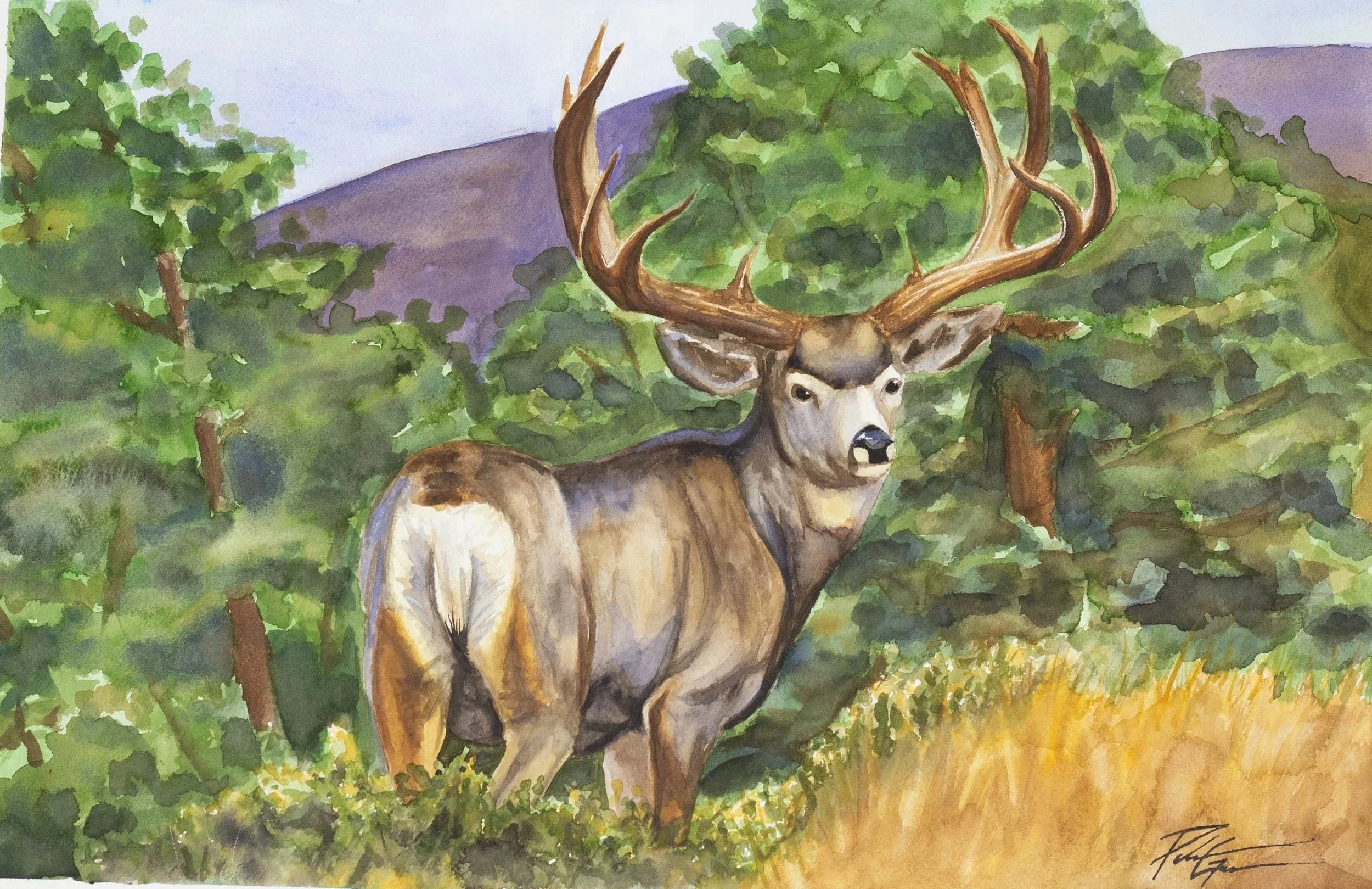 "Gone Forever" watercolor 22x15"