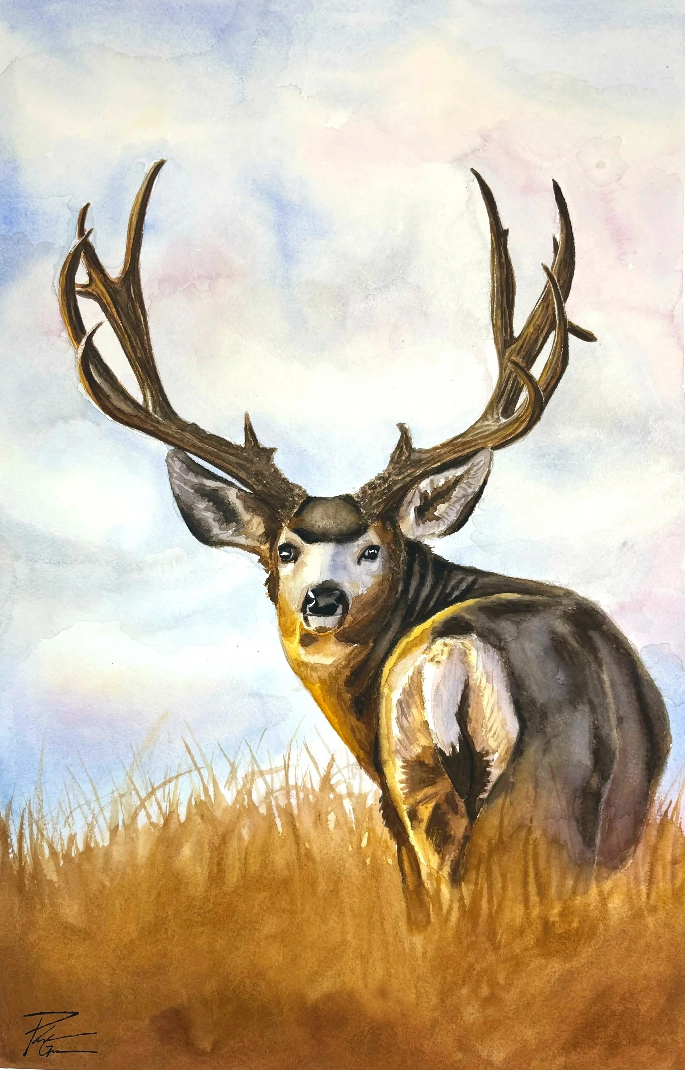 "Grazing Muley" watercolor 22x15"