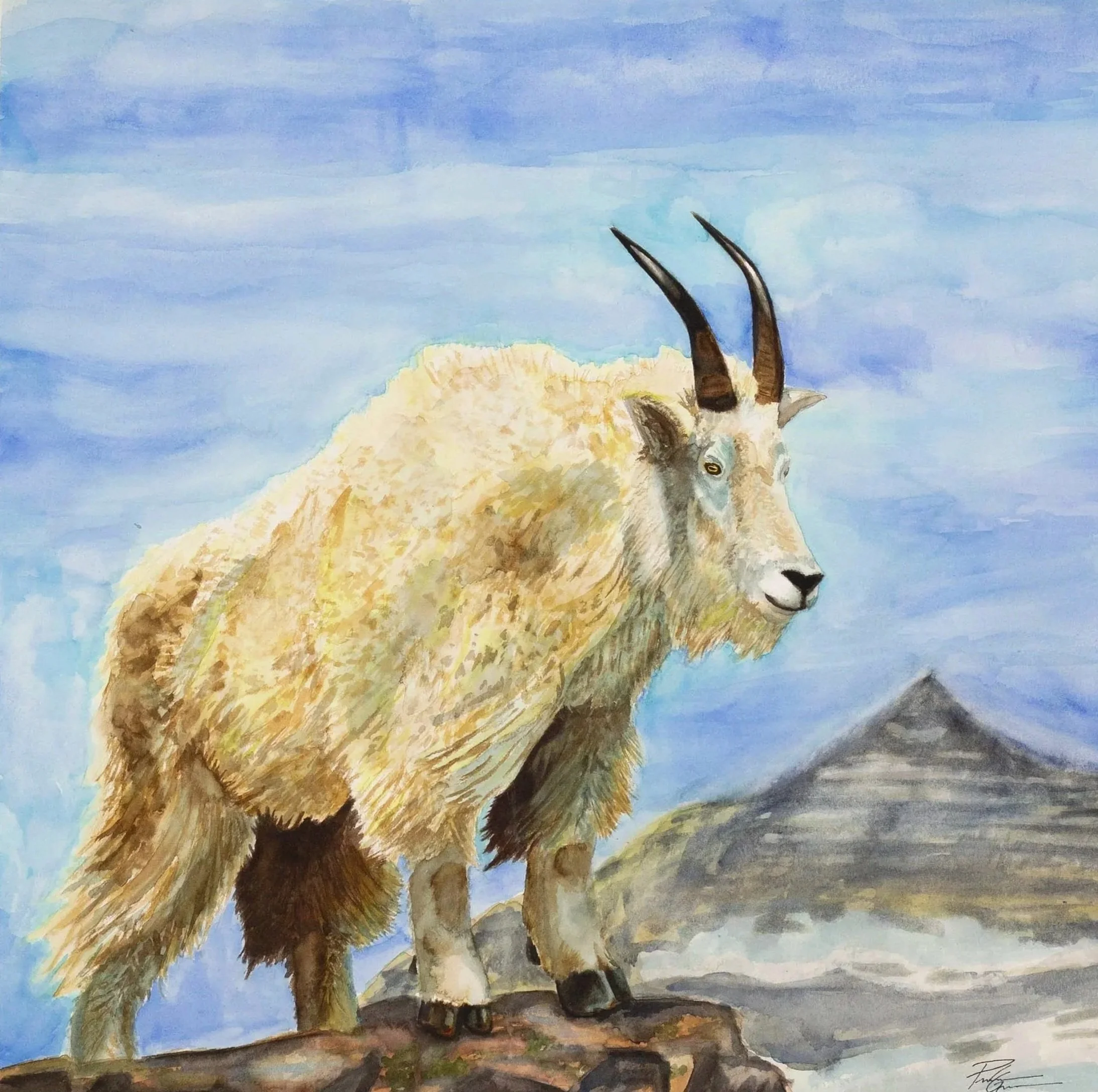 "Mountain Goat" watercolor 22x30"