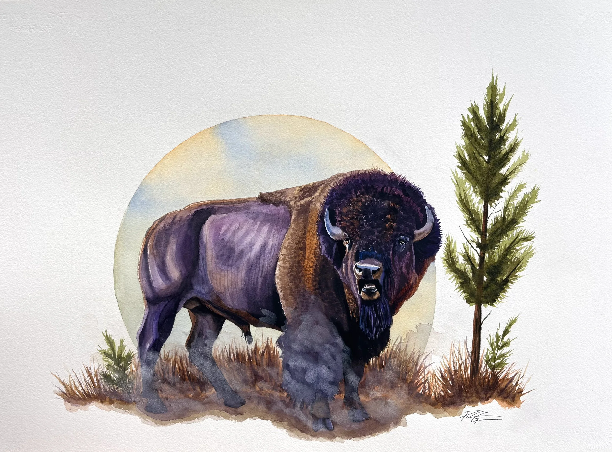 "Bellow" watercolor 22x30"