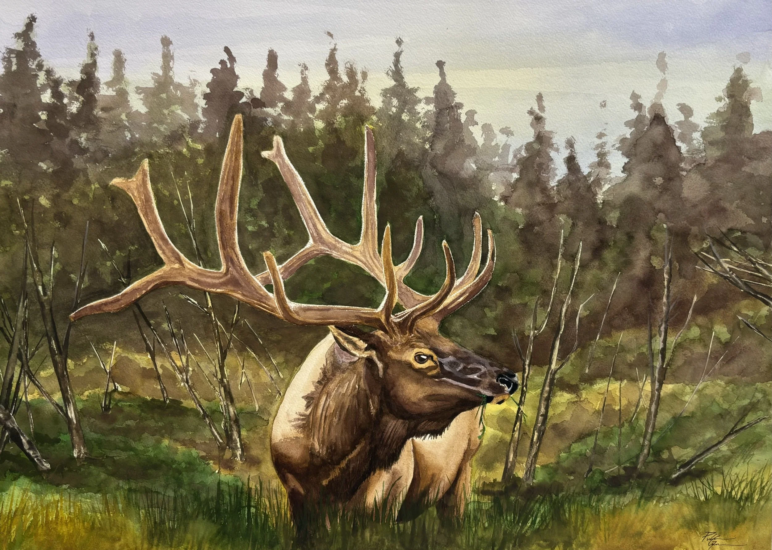 "Growing Season"  watercolor 22x30"