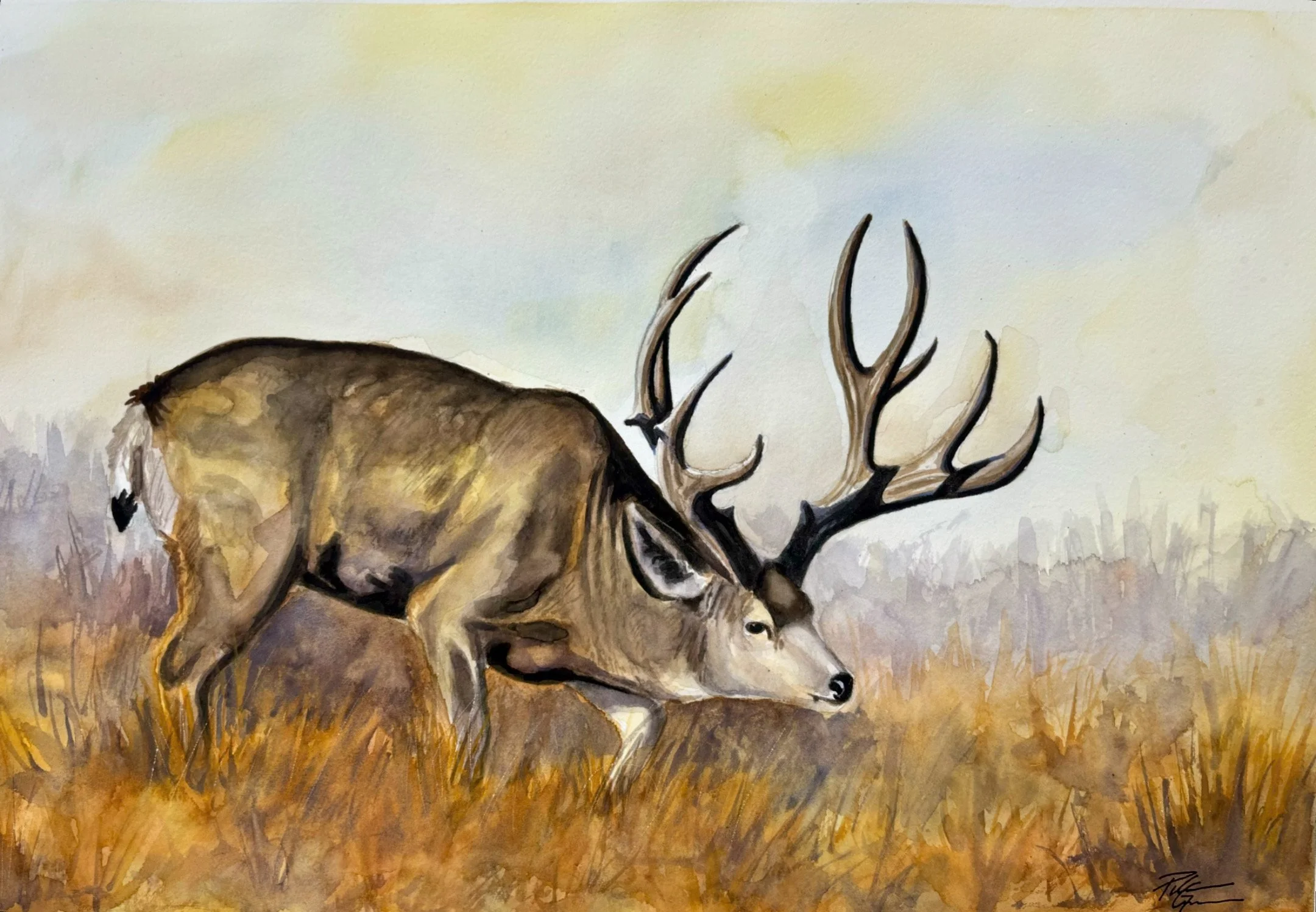 "Pheromones" watercolor 22x15"