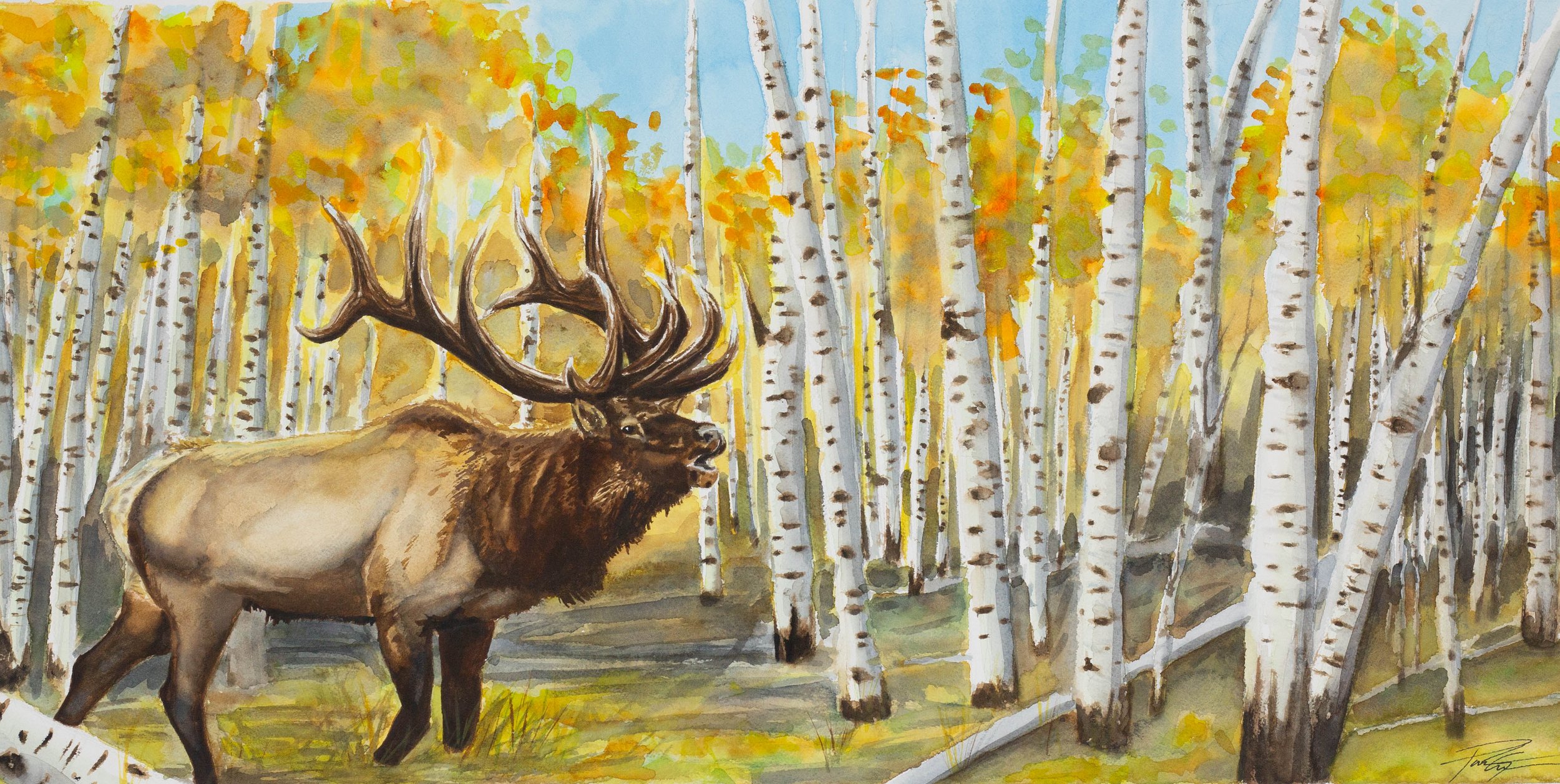 "Bull on the search" watercolor 