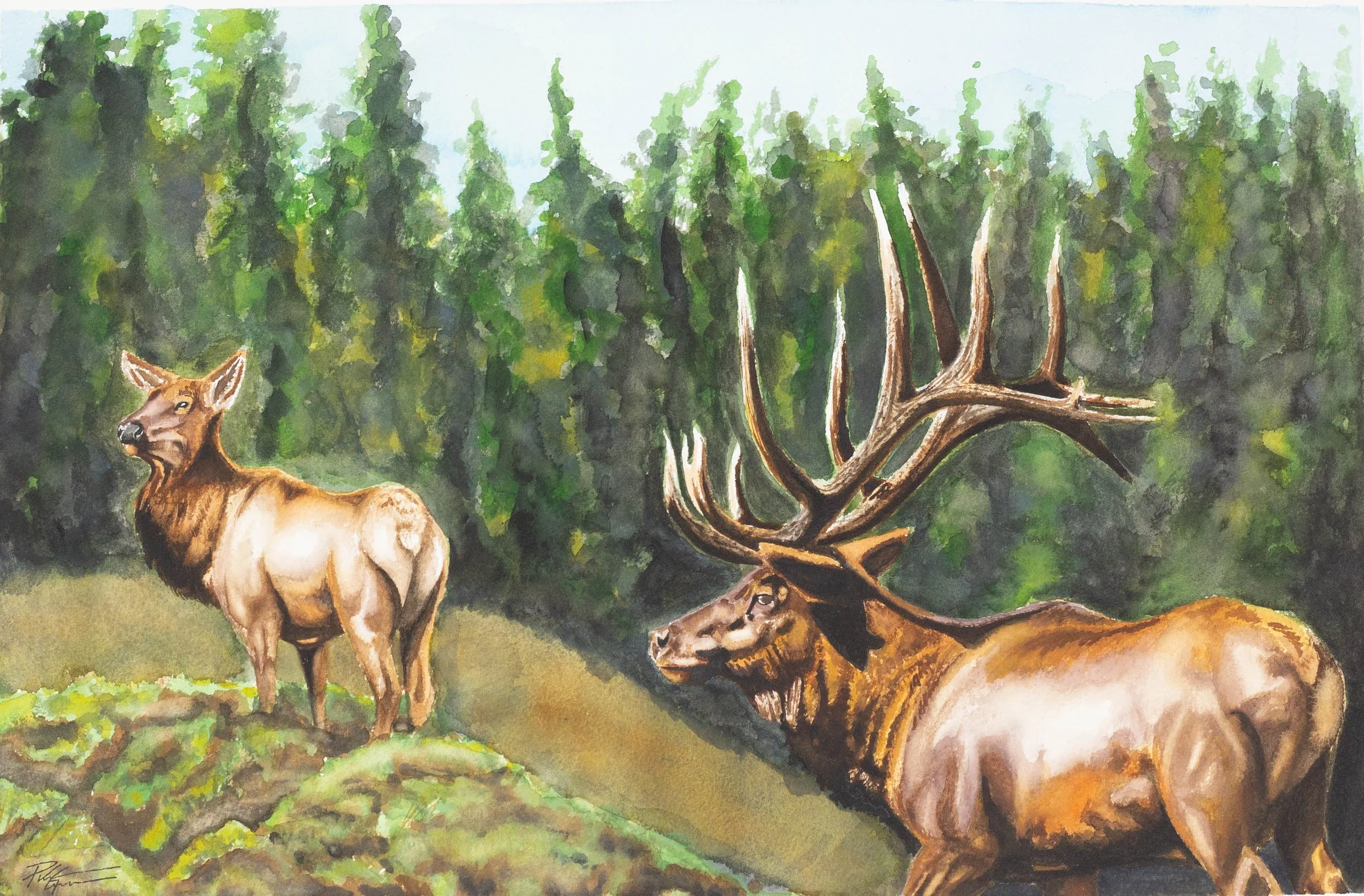 "Pursuit" watercolor 22x15"