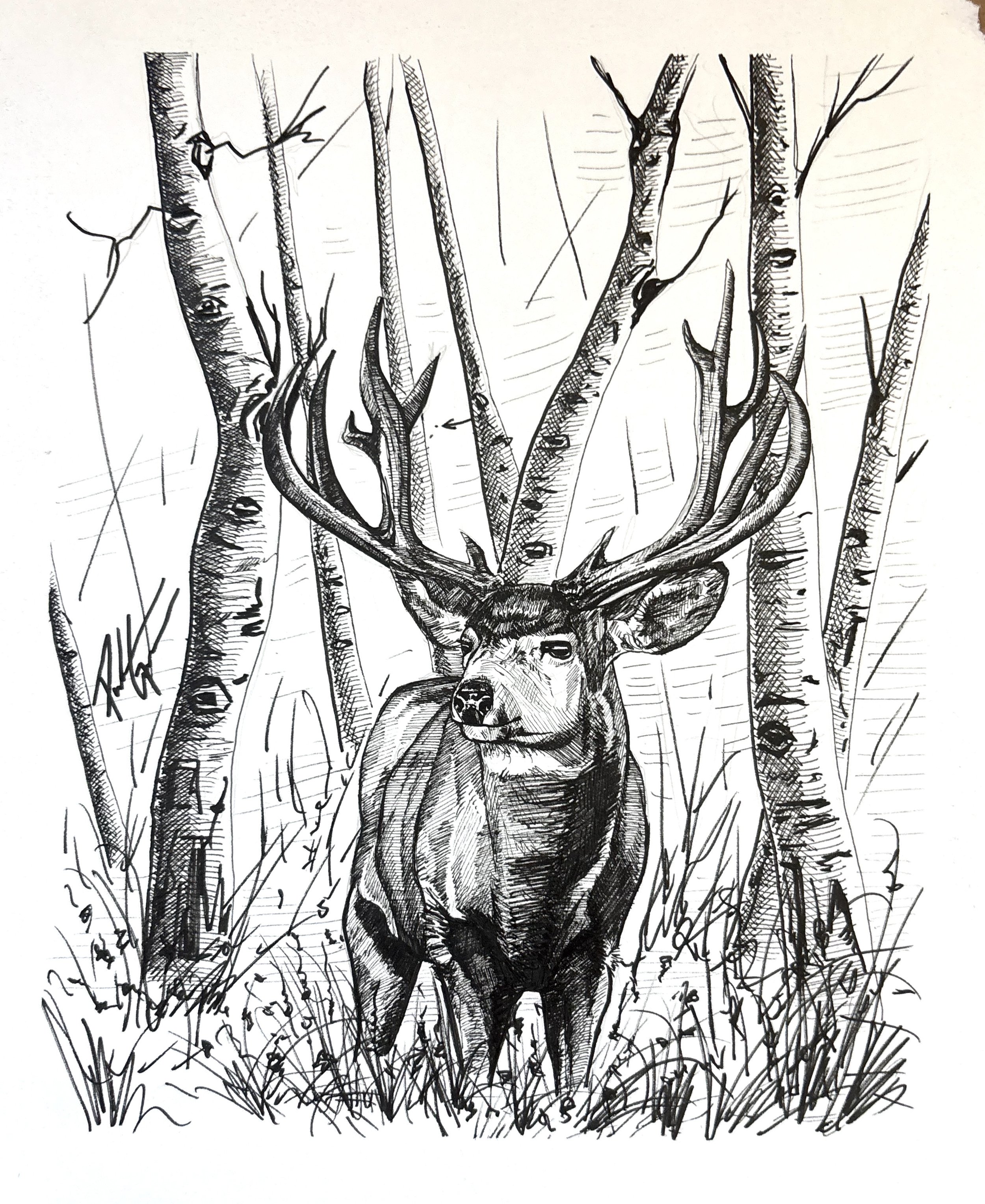 "untitled" ink drawing 10x12"