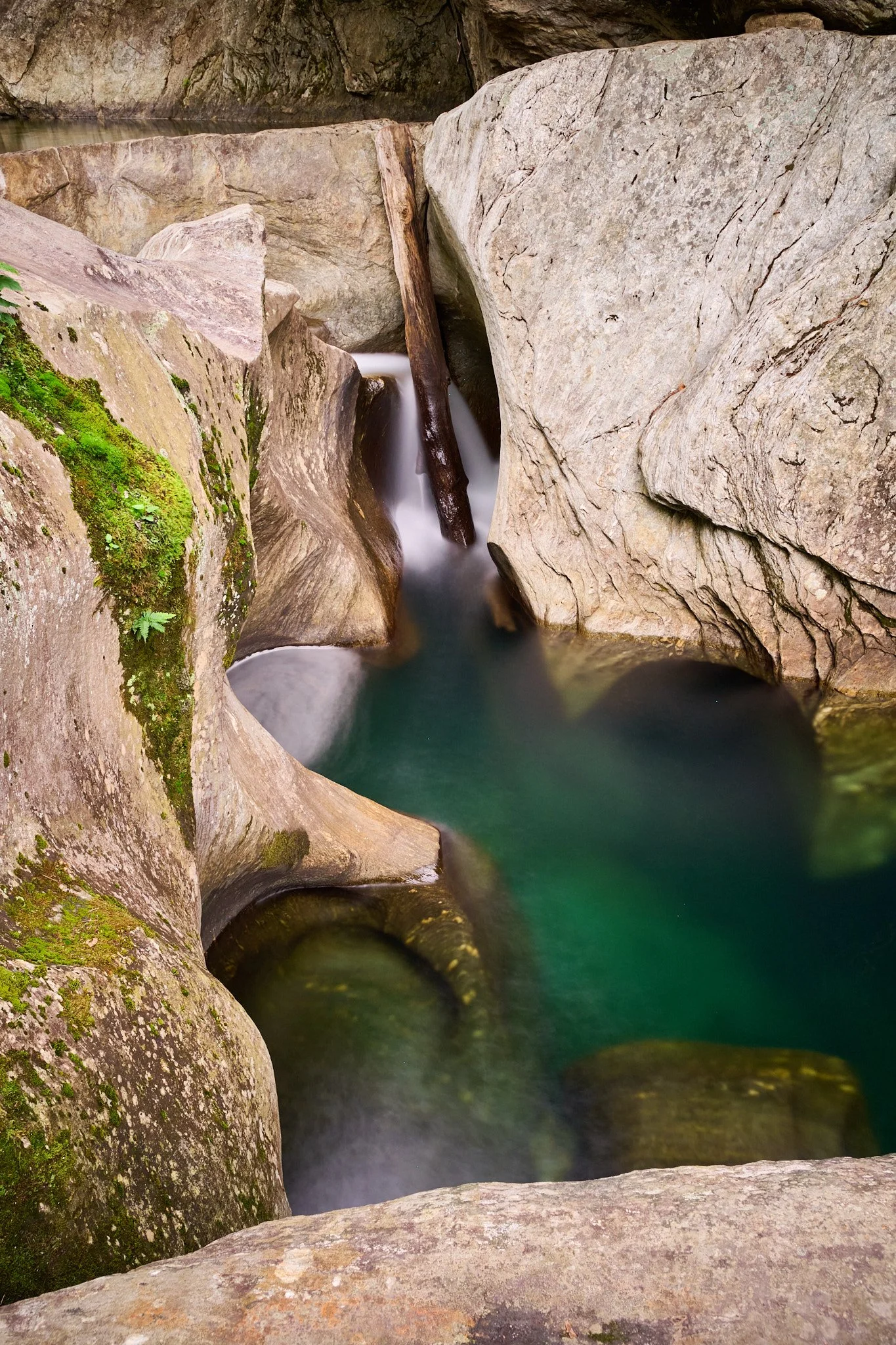 _DSC8275.jpg