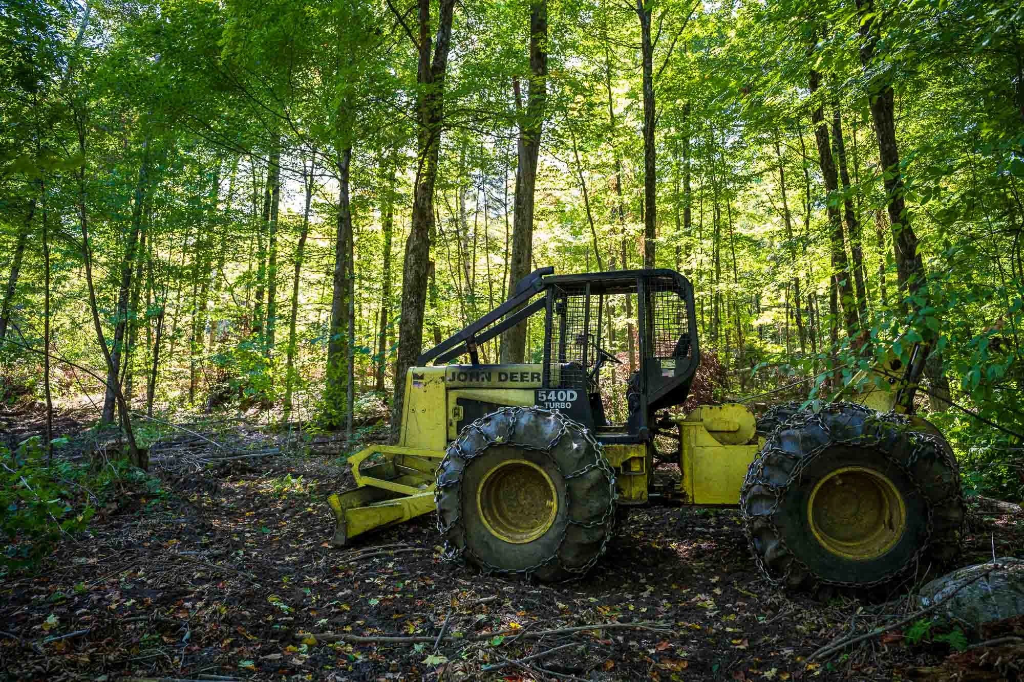 What we ask of a forest