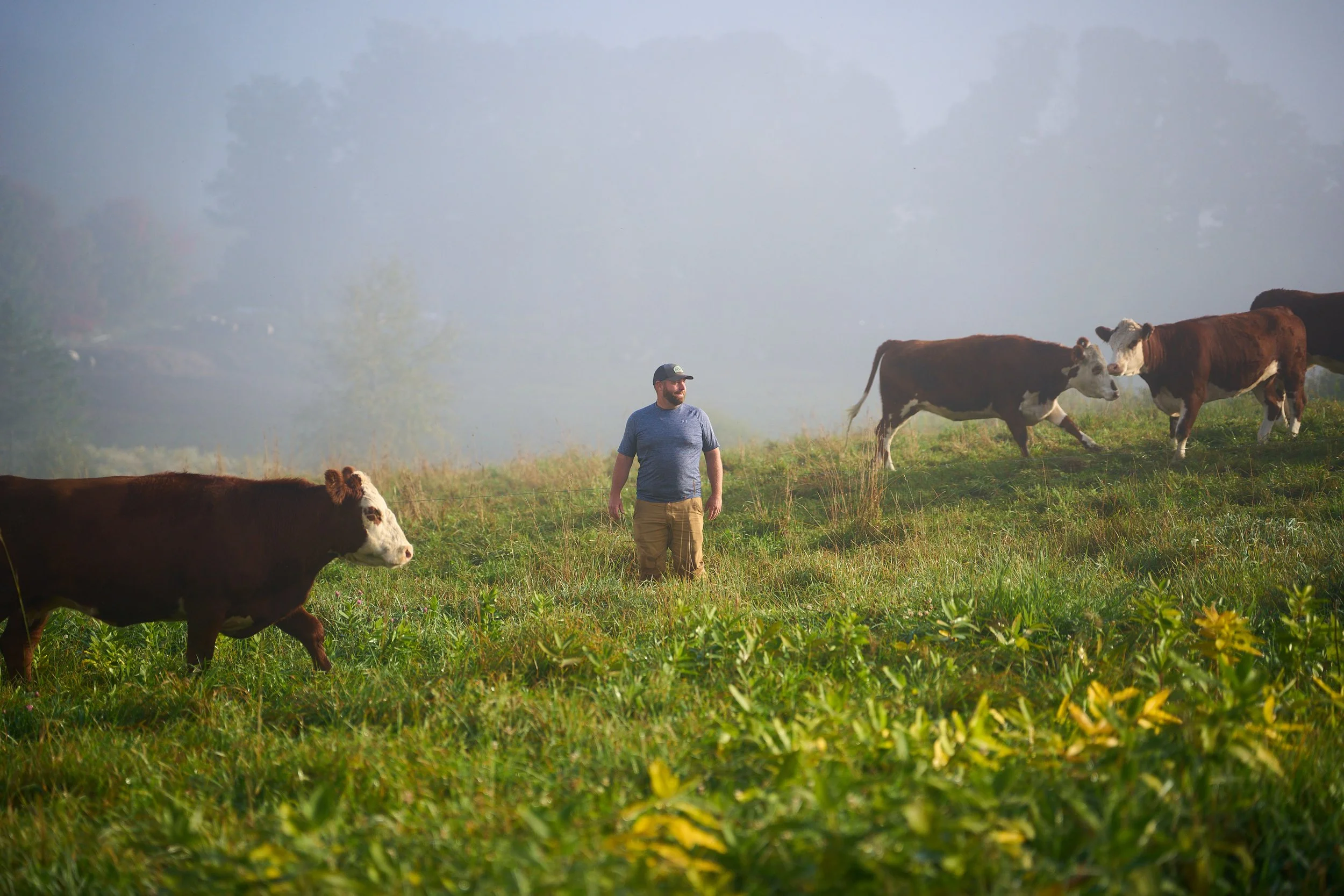 Snug_Valley_Web-0497.jpg