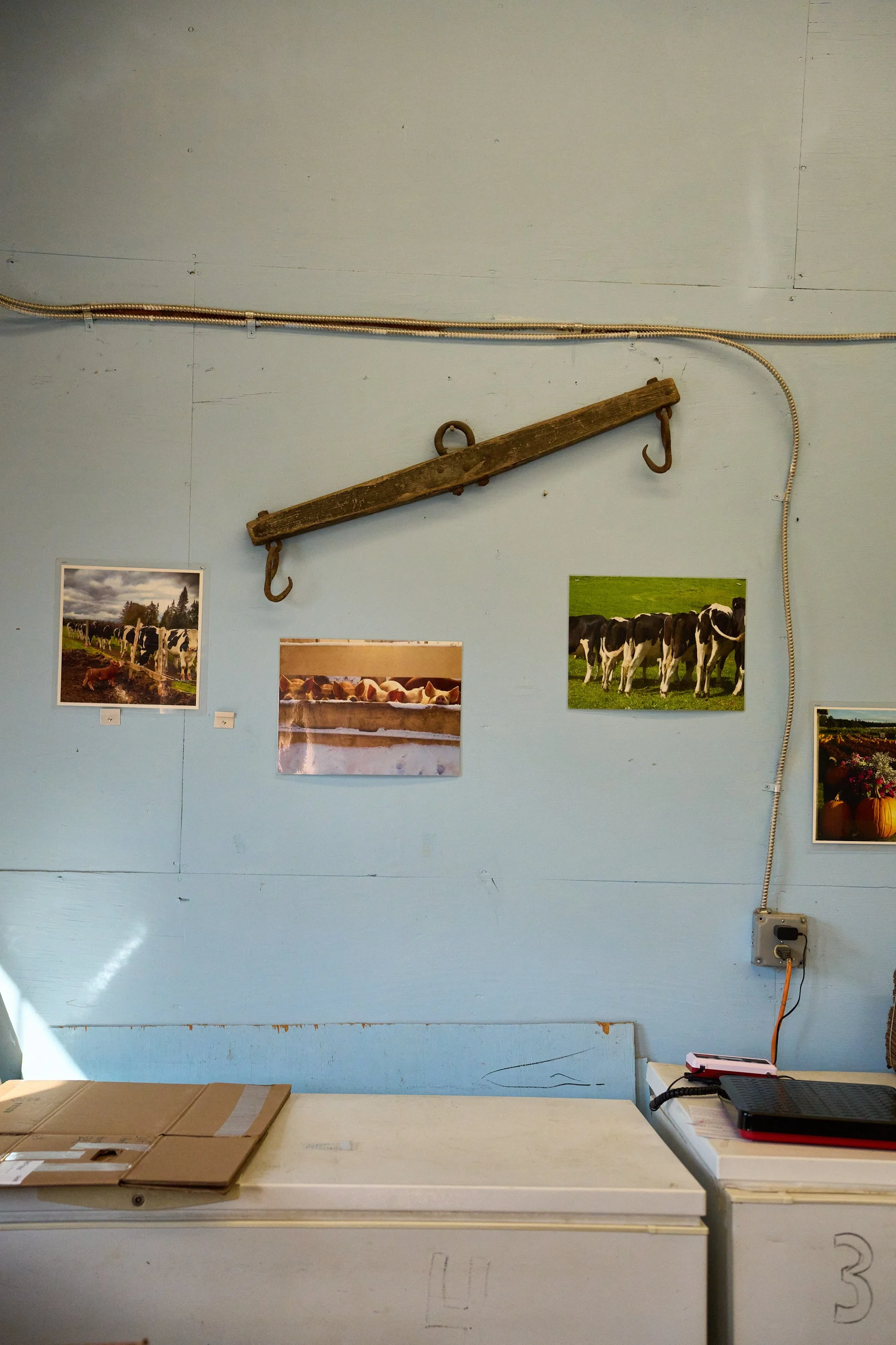 Snug_Valley_Web-0512.jpg