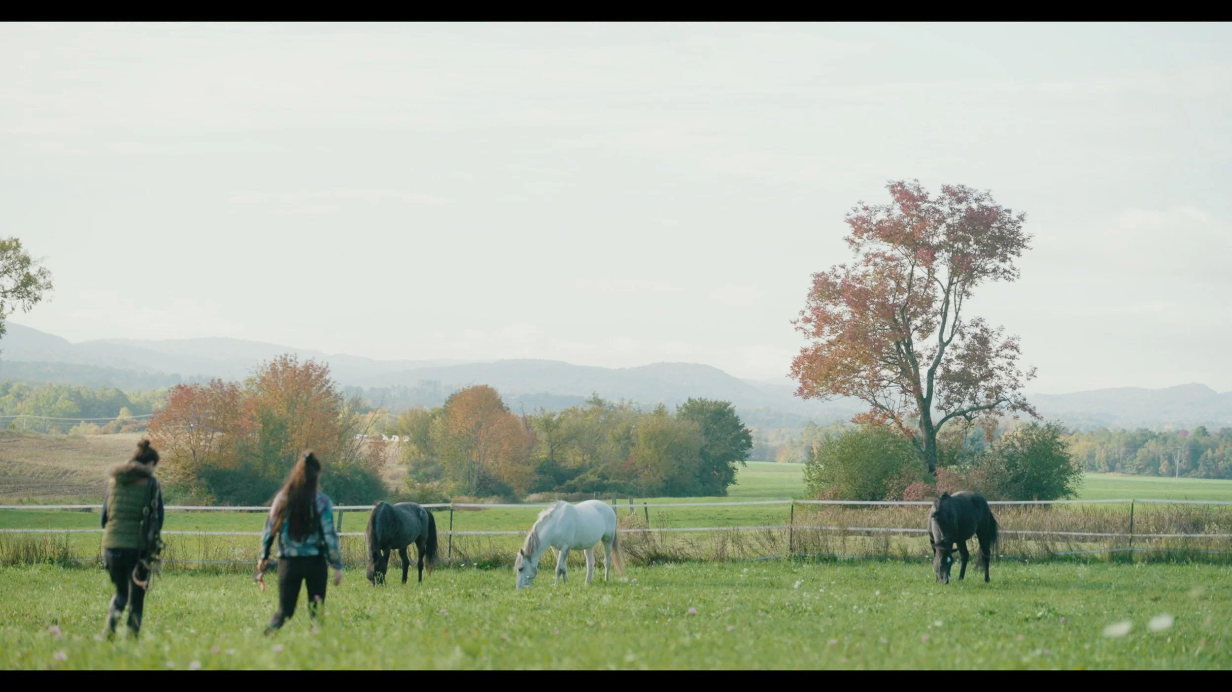Vermont_Cinematographer-103.jpg
