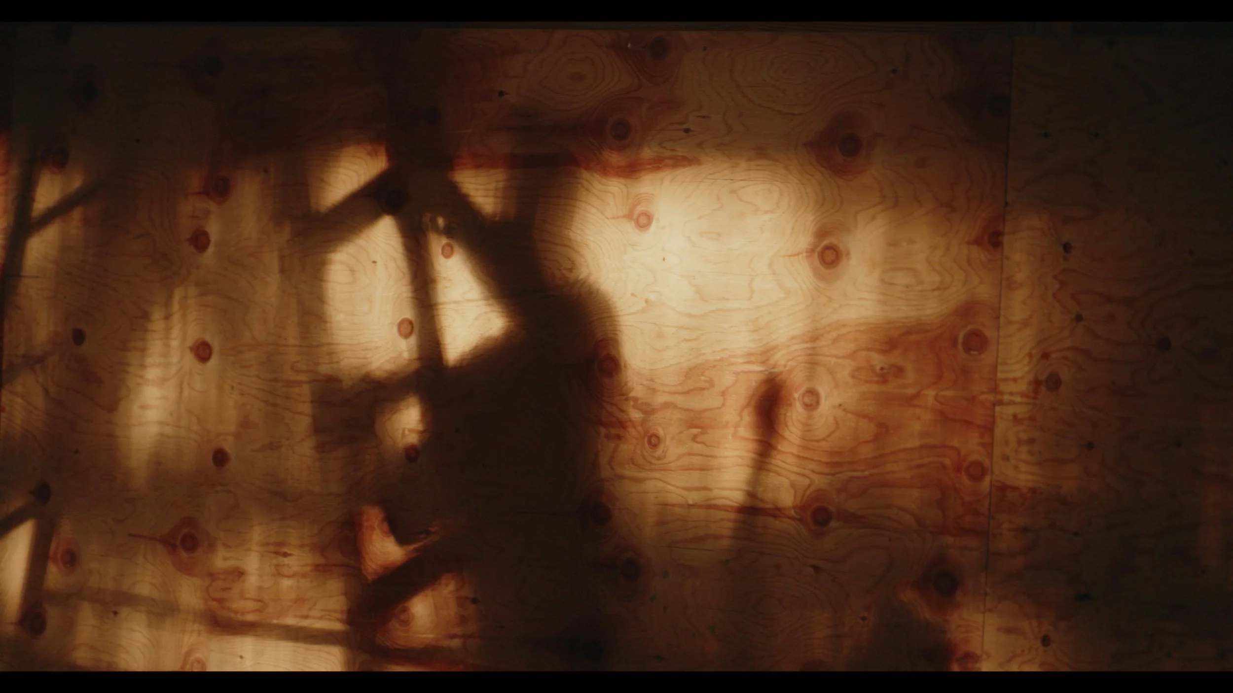 Vermont_Cinematographer-104.jpg