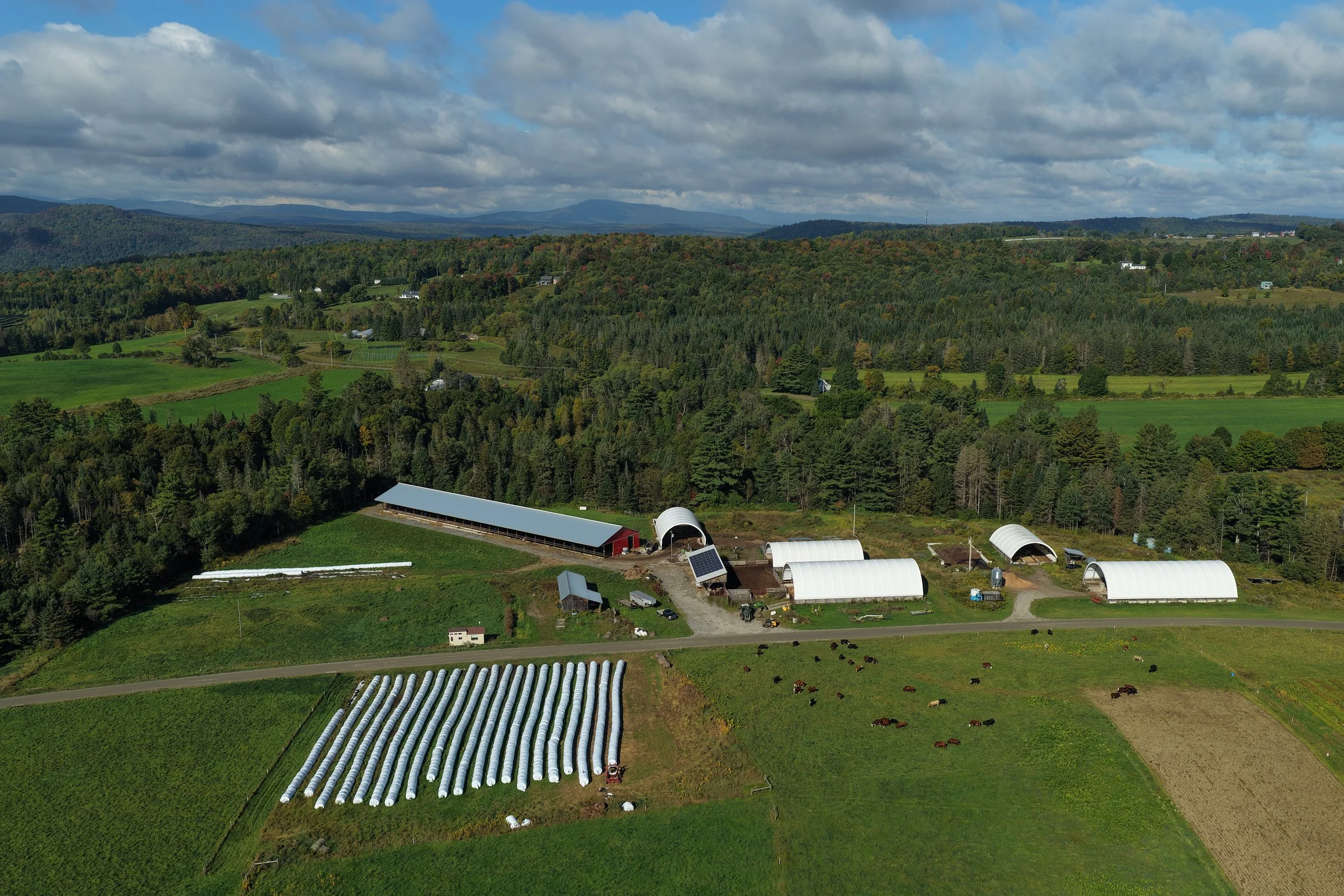 Aerial view of a Vermont farm with green fields, greenhouses, barns, and cows grazing, set in a mountainous landscape under a partly cloudy sky.