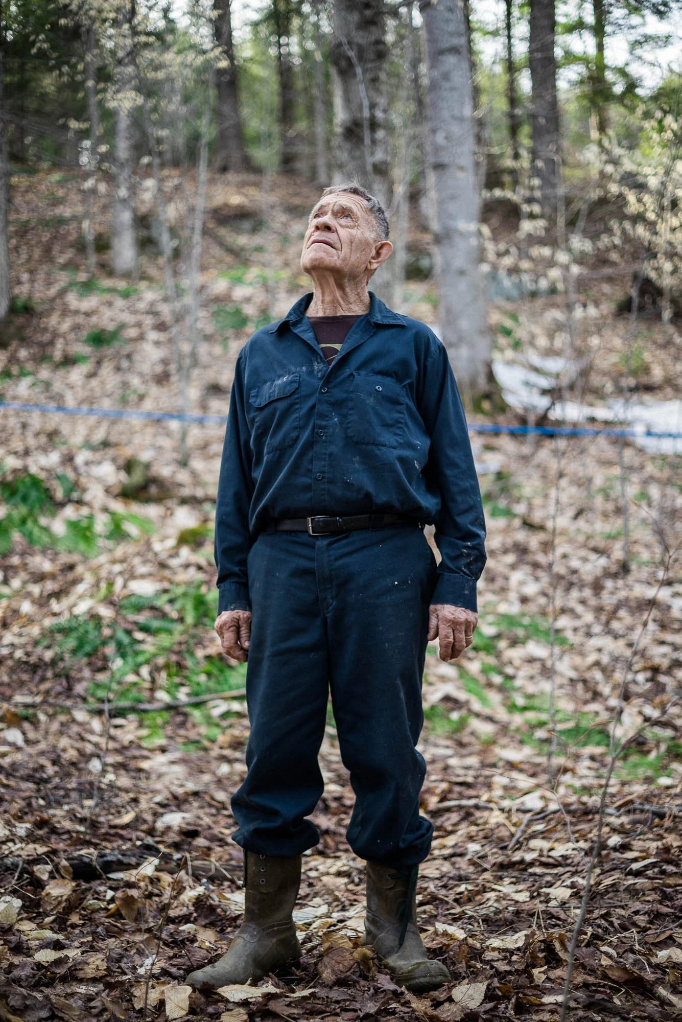 An elderly man in Vermont standing outdoors in a wooded area, looking upward. He is wearing a dark blue work shirt, dark pants, and rubber boots, with a serious expression on his face.