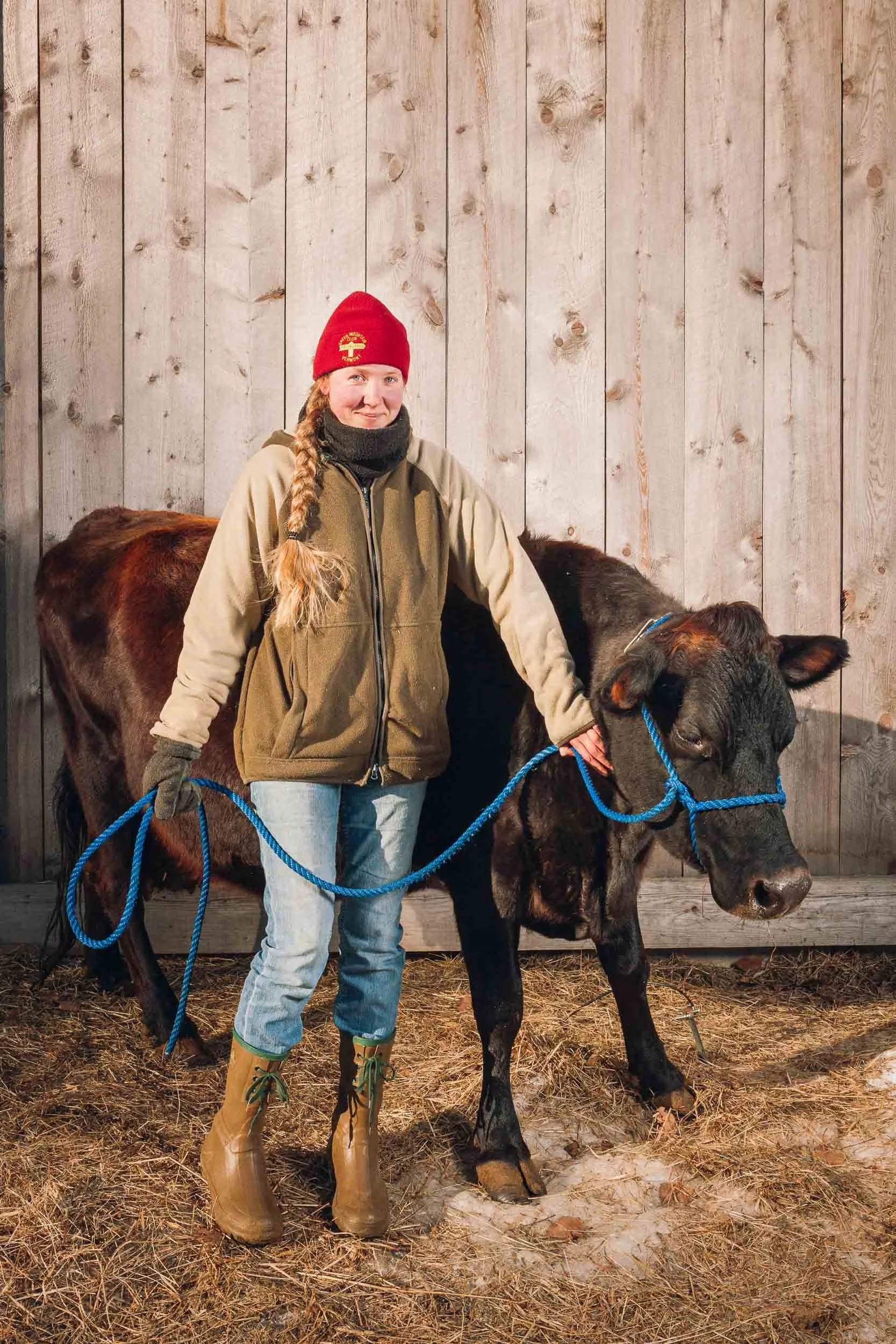 A young woman with long braided hair wearing a red beanie, beige jacket, jeans, and rubber boots standing next to a black calf with a blue halter in front of a wooden wall.