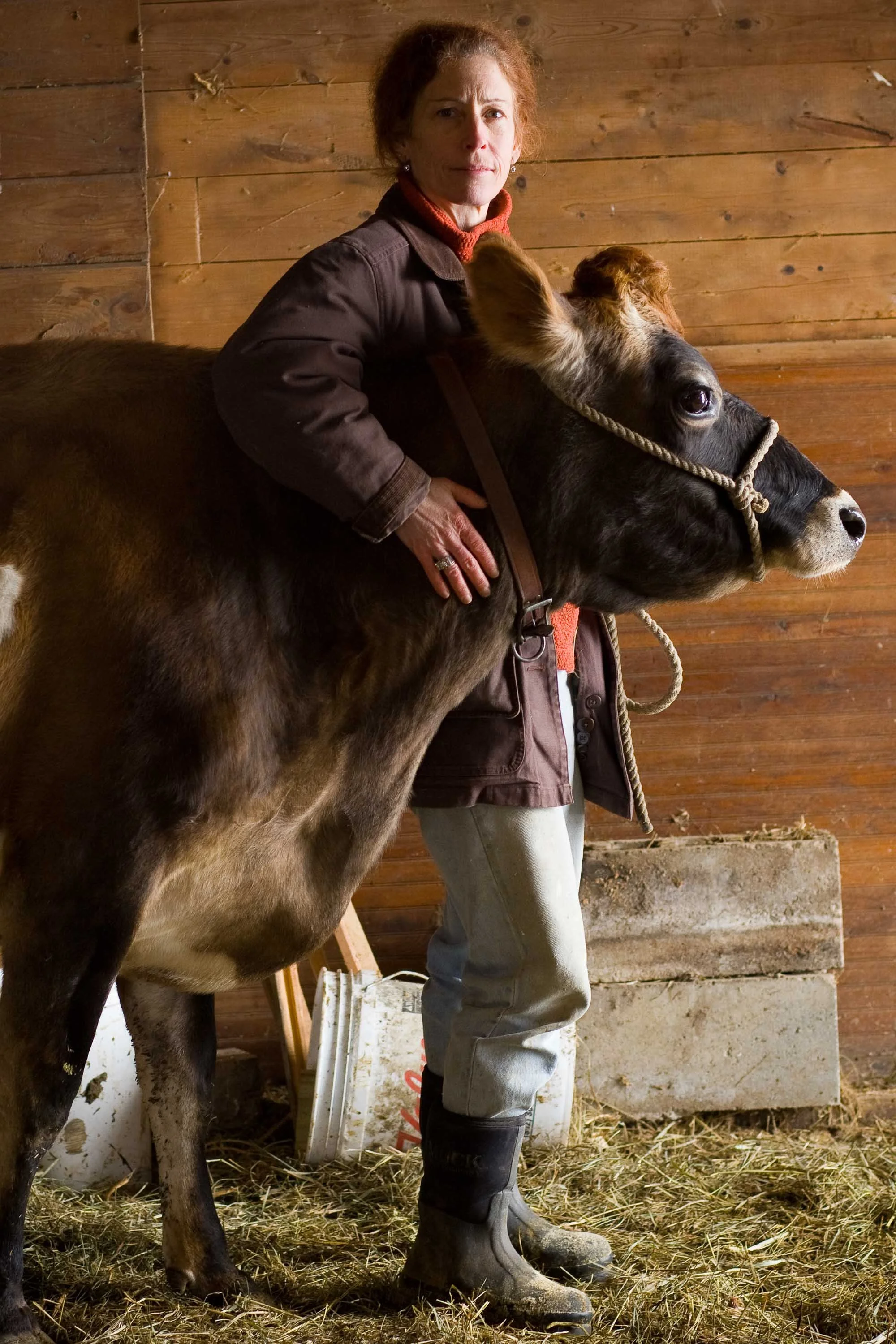 20080124_YKE_COW_0010.jpg