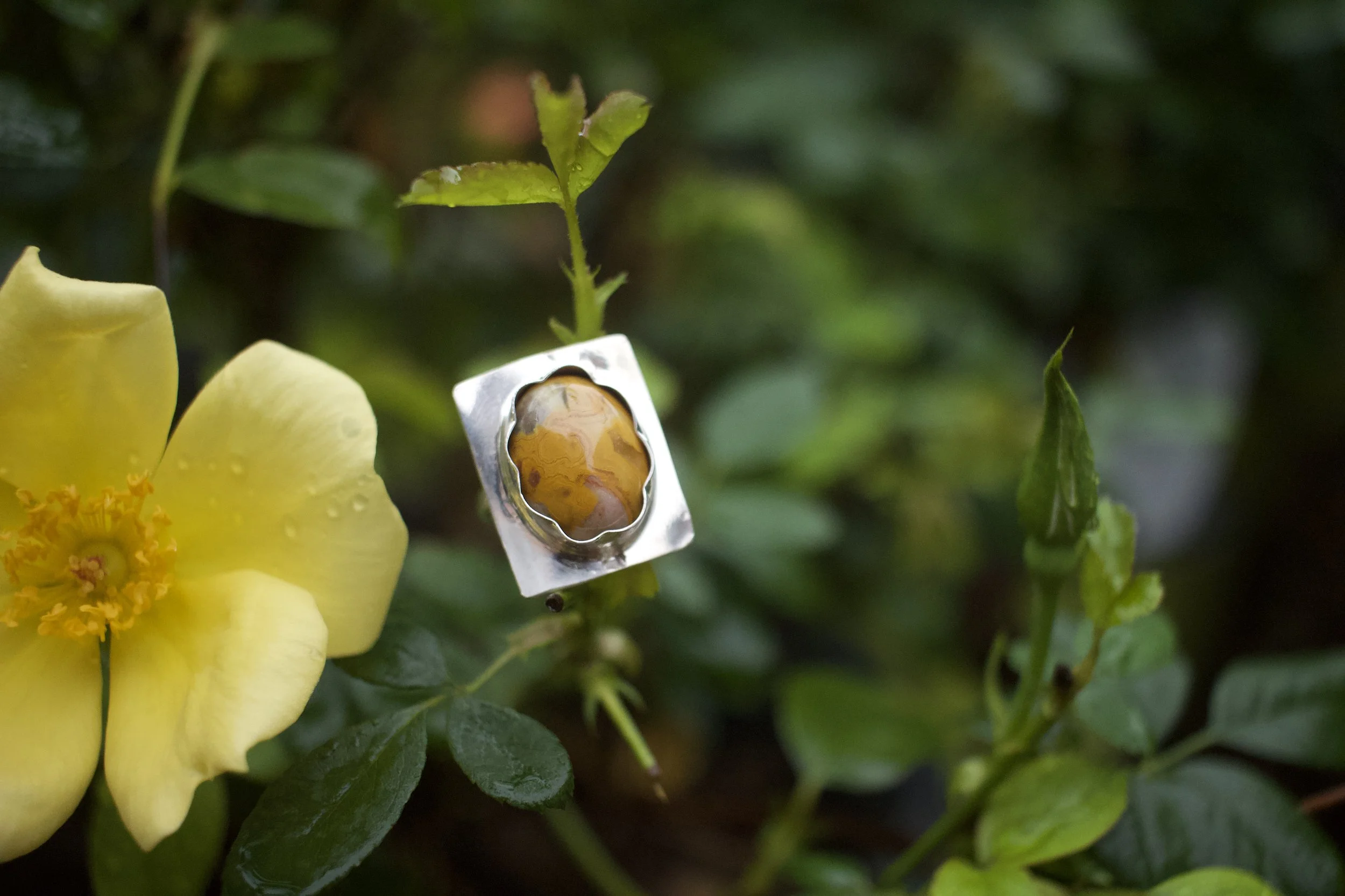 Yellow Crazy Lace Agate