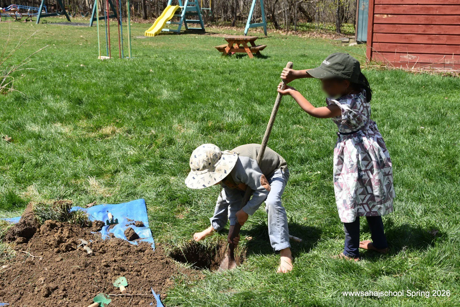 planting tree 5.JPG