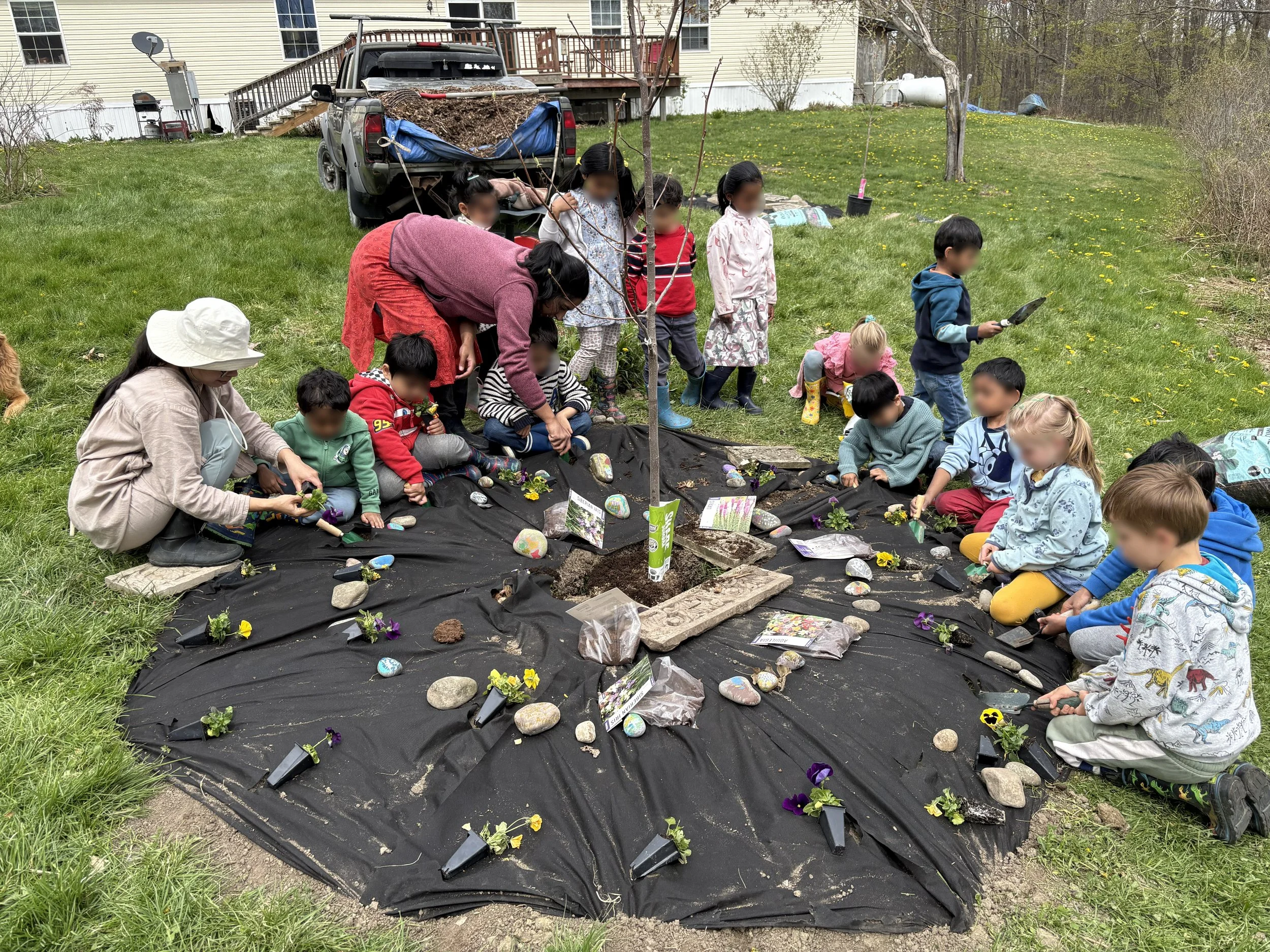 tree planting 4.jpg